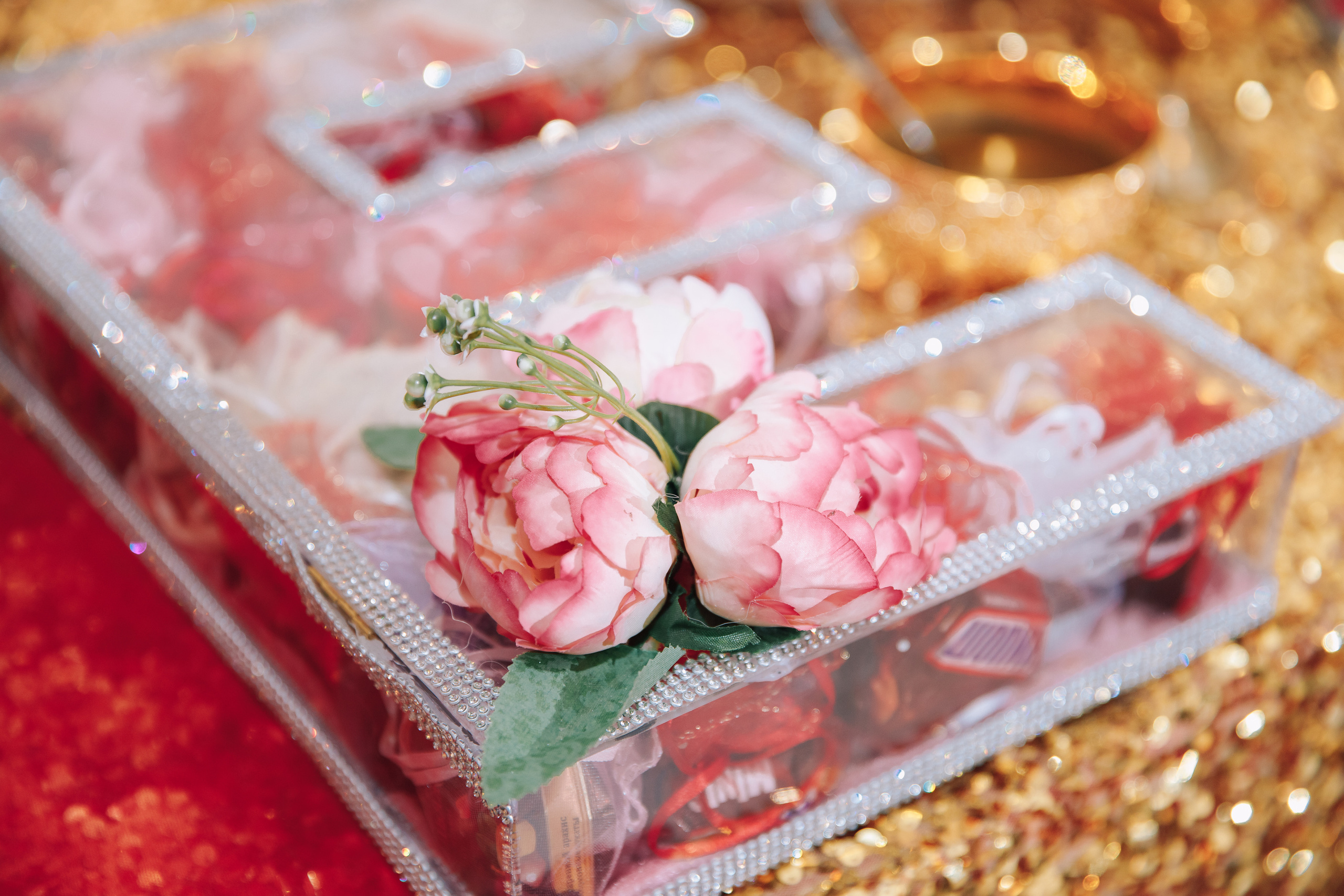 Elvira. Светлана Иванова - профессиональный фотограф