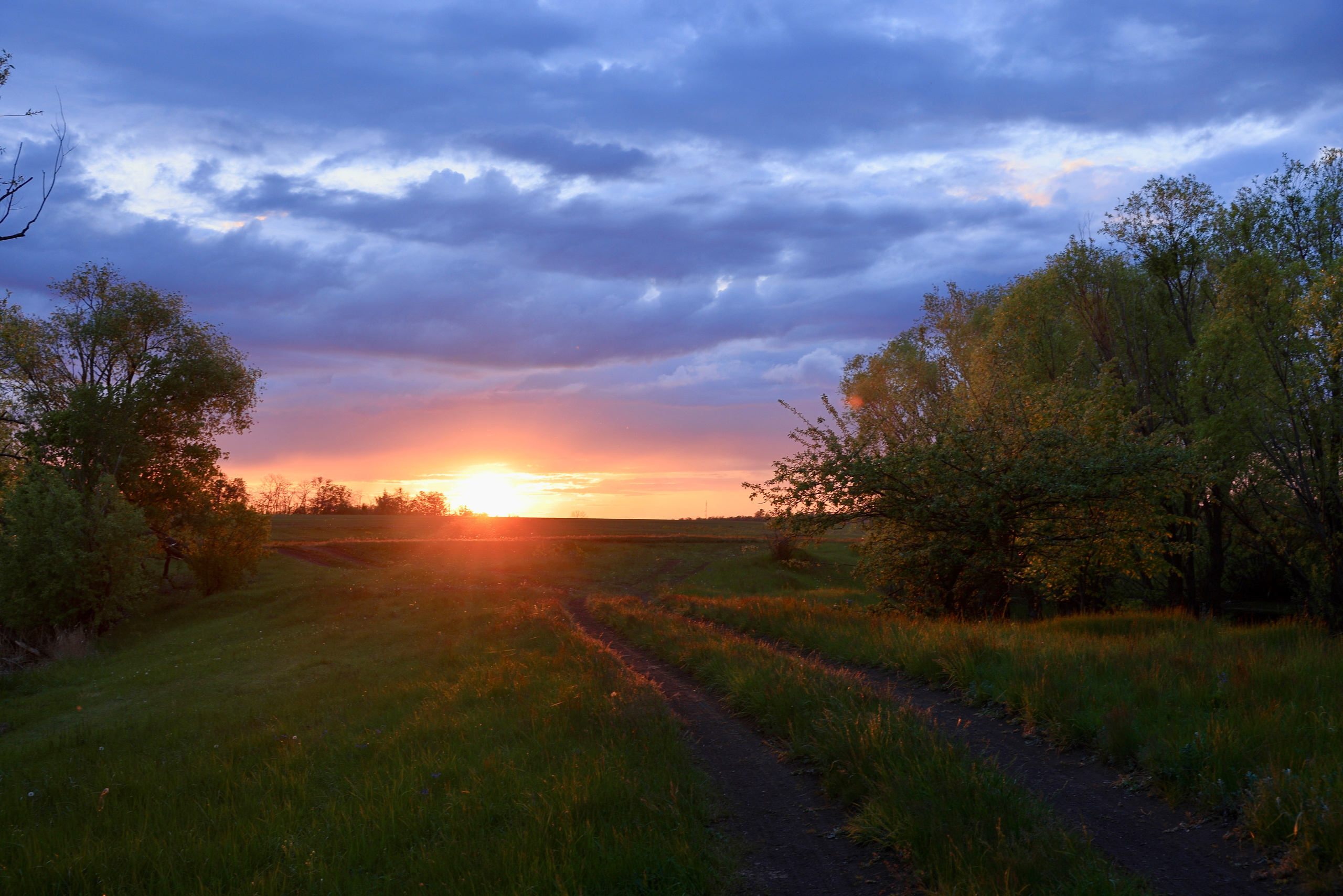Техника 7 фотографических элементов. Photographer Andrey Basov website