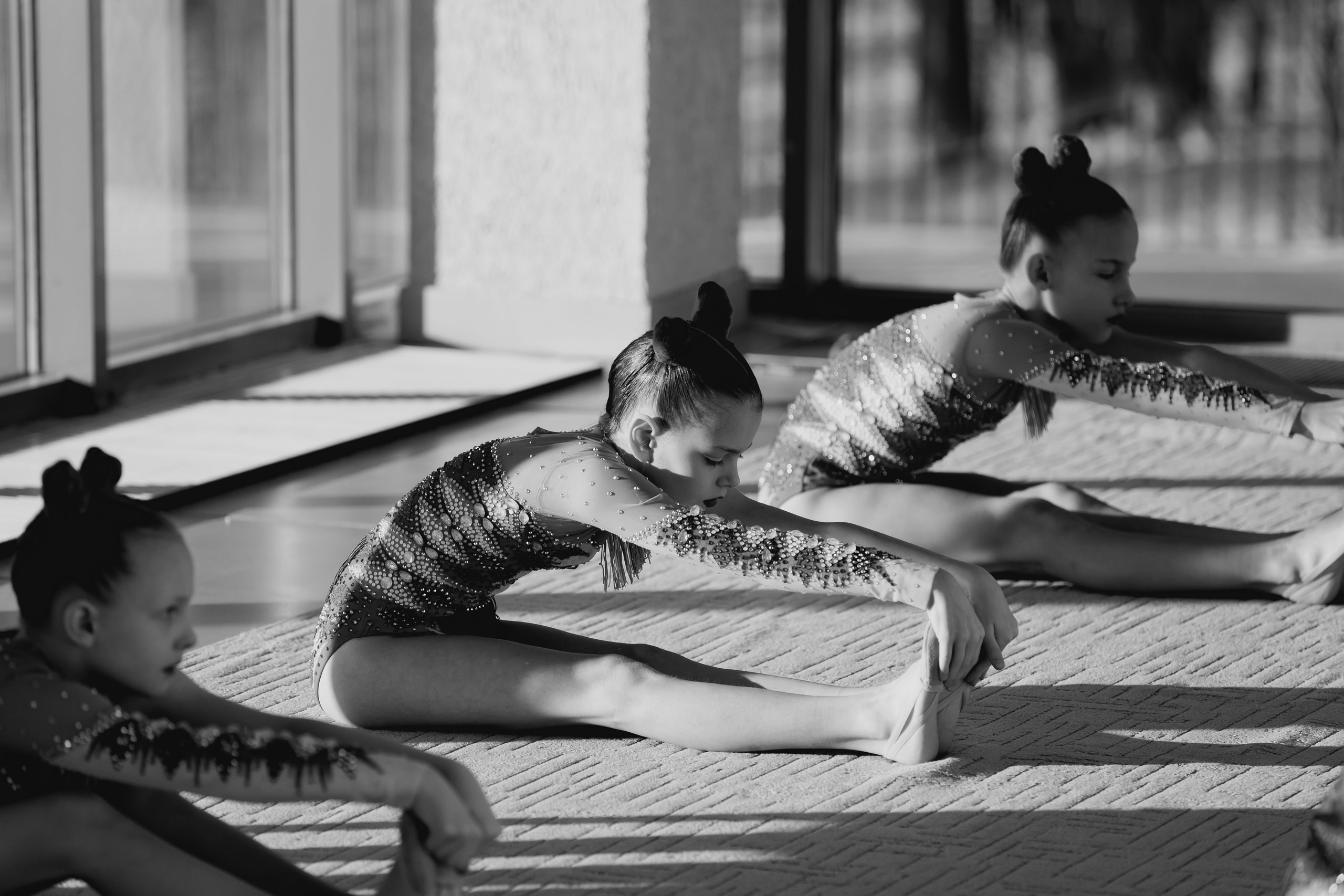 Чемпионат и Первенство Центрального Федерального округа РФ по эстетической гимнастике. Спортивный фотограф Александр Васильев. RG и AGG