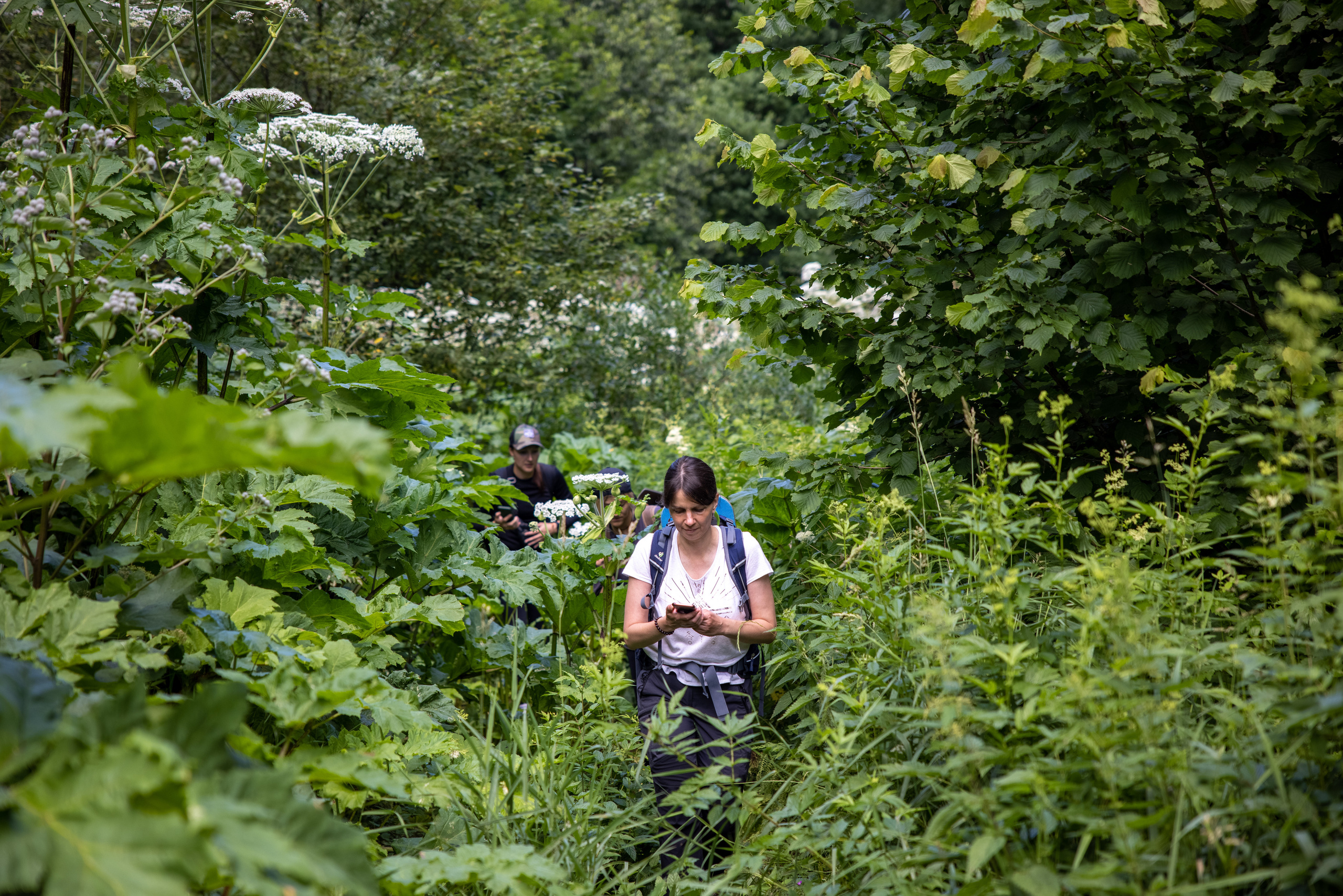 Composition rules in photography. Photographer Andrey Basov website