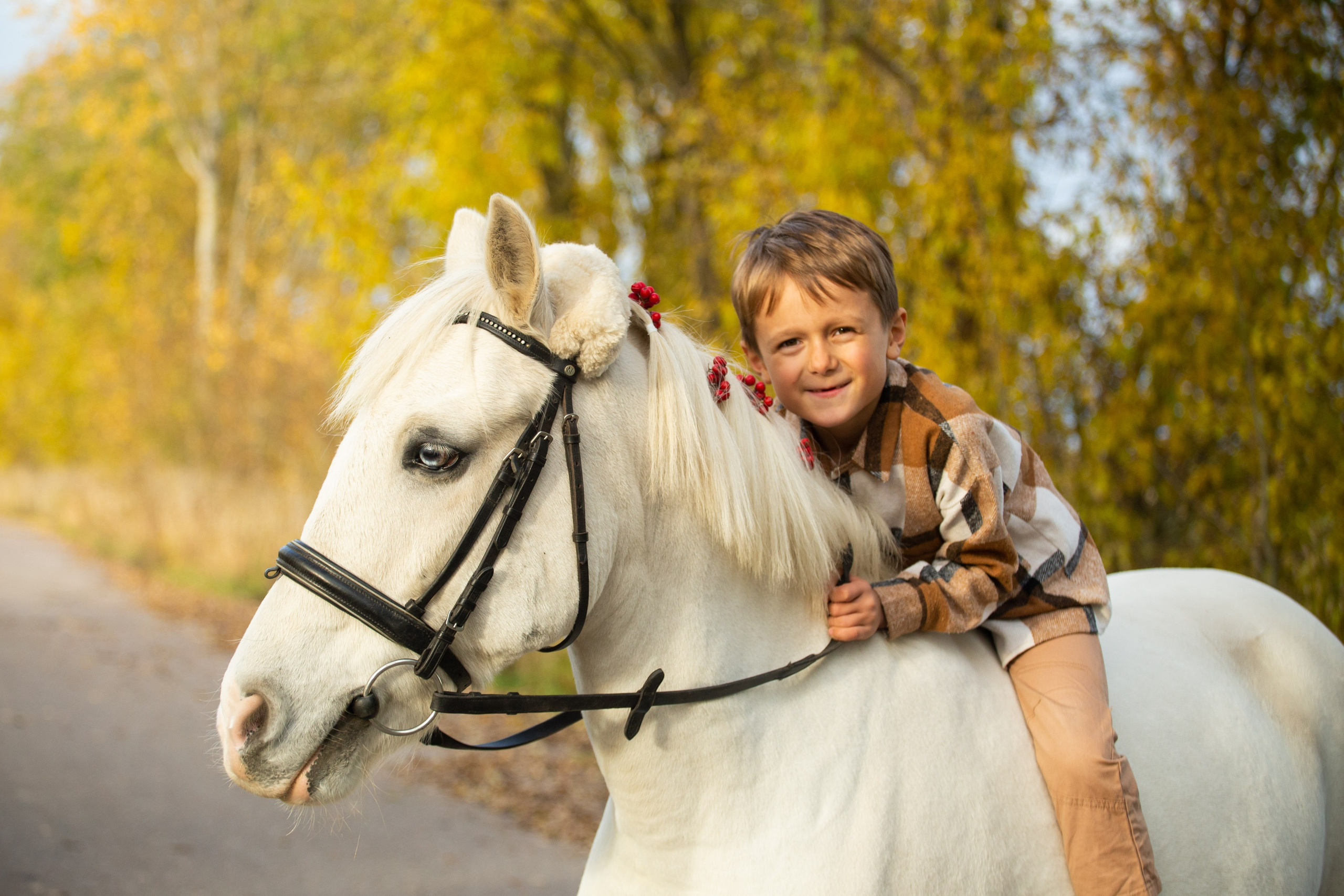 Конные фотосессии. Главная