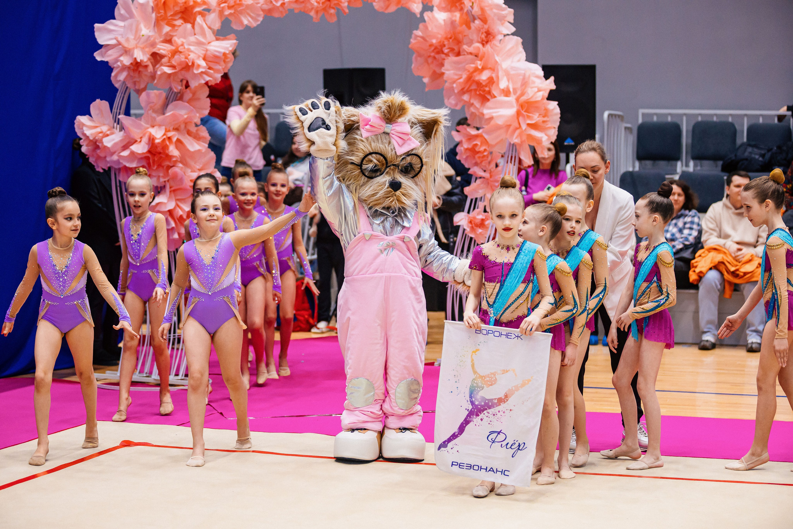 Турнир по эстетической гимнастике «Мелодия весны». Спортивный фотограф Александр Васильев