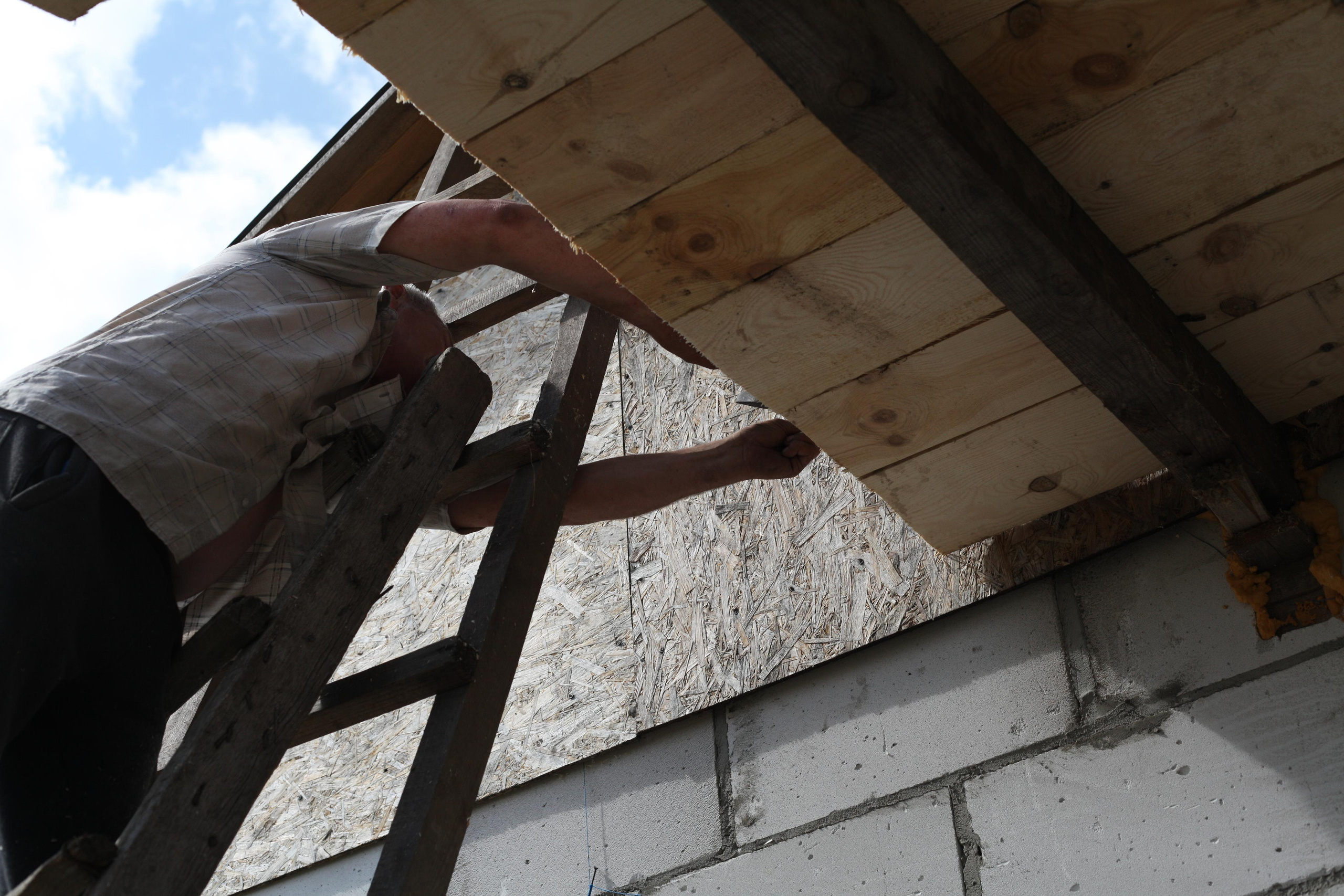 Крылья мира. Куратор и фотограф Варвара Кулаева