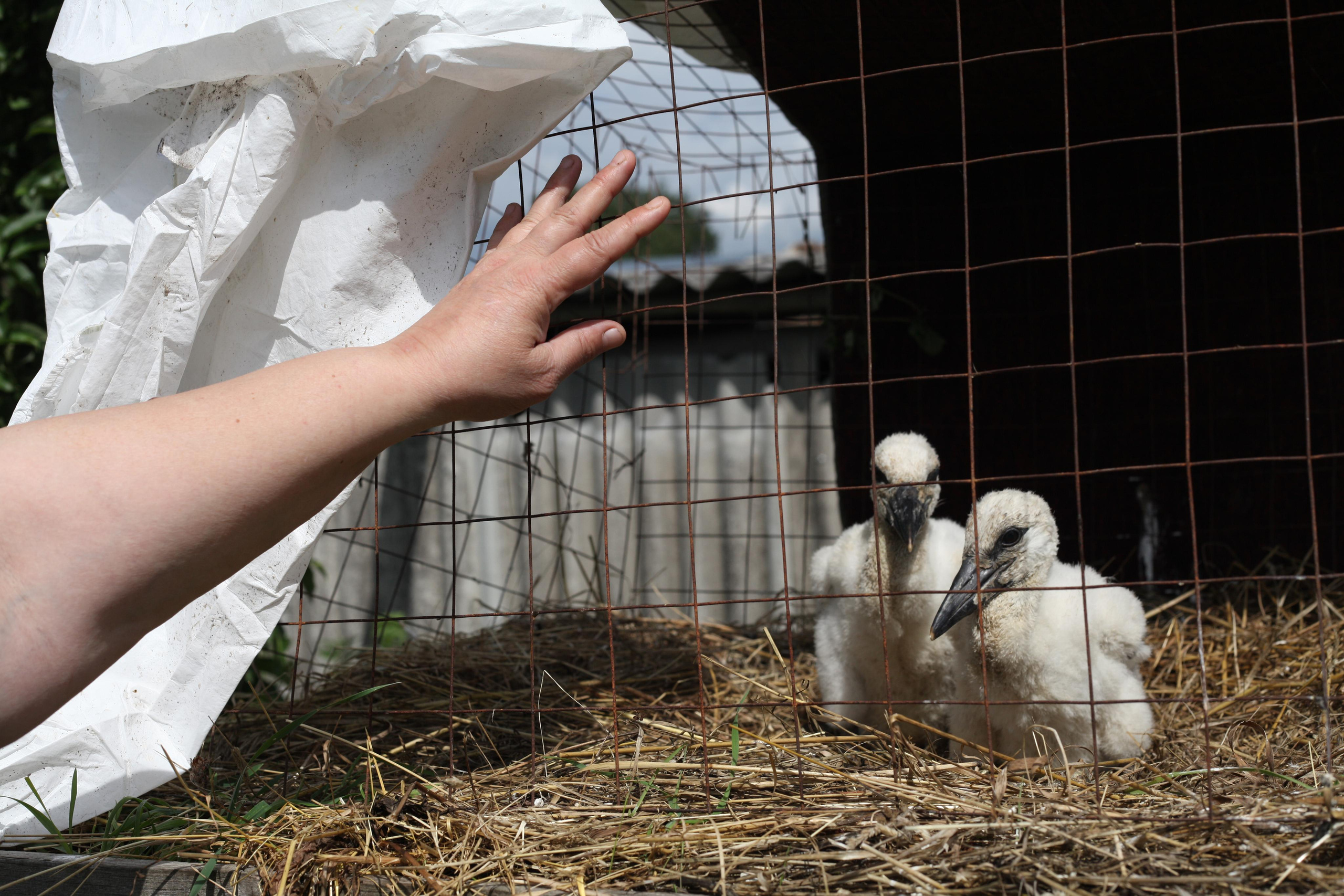 Крылья мира. Куратор и фотограф Варвара Кулаева