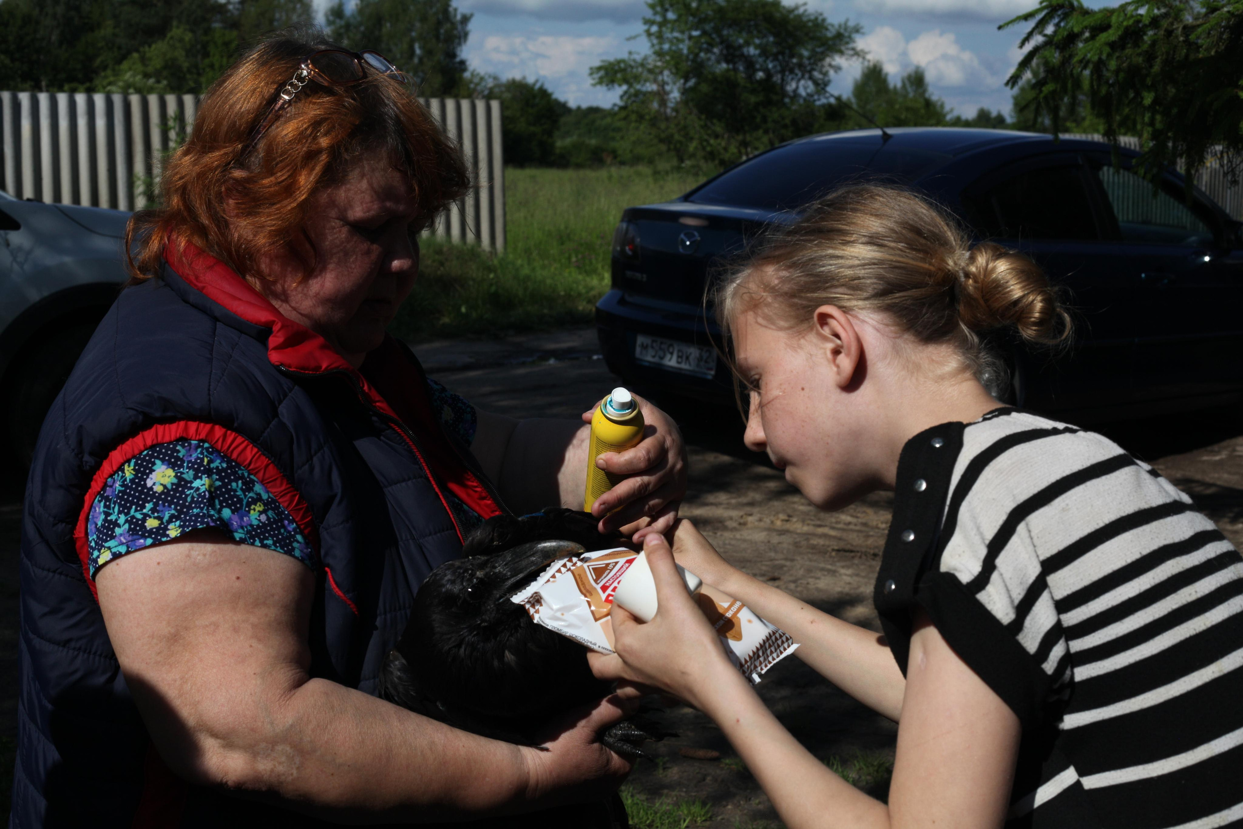 Крылья мира. Куратор и фотограф Варвара Кулаева