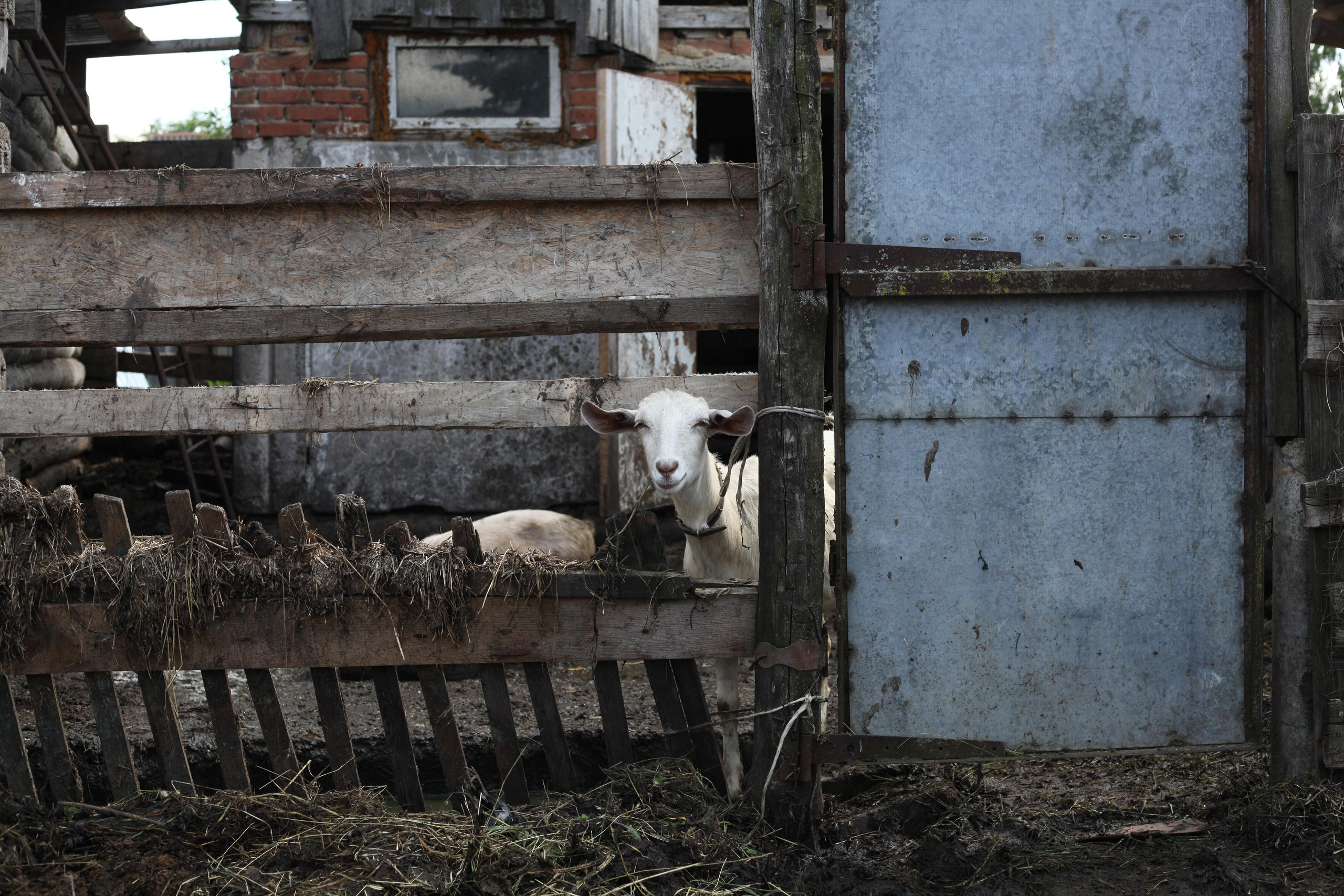 Крылья мира. Куратор и фотограф Варвара Кулаева