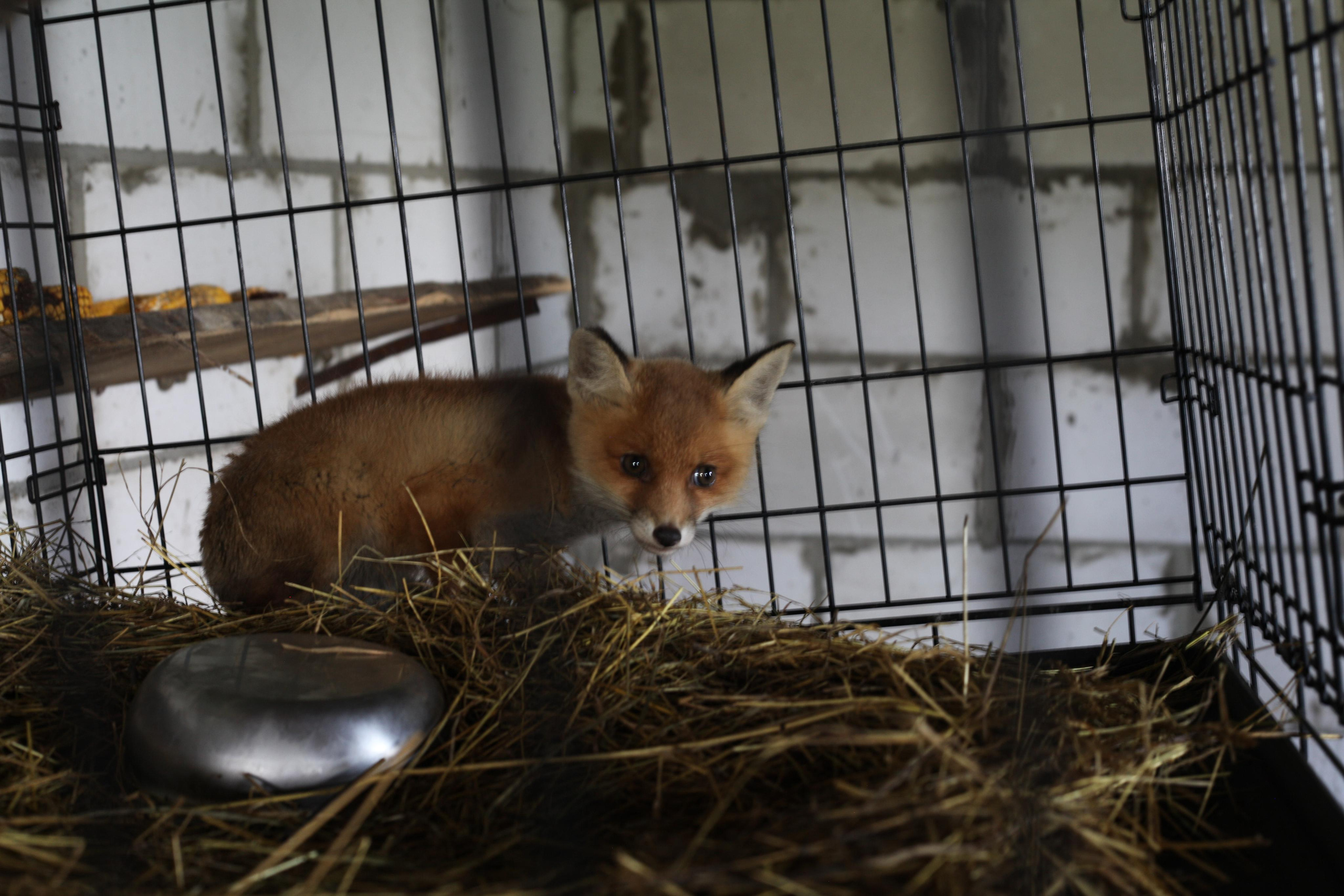 Крылья мира. Куратор и фотограф Варвара Кулаева
