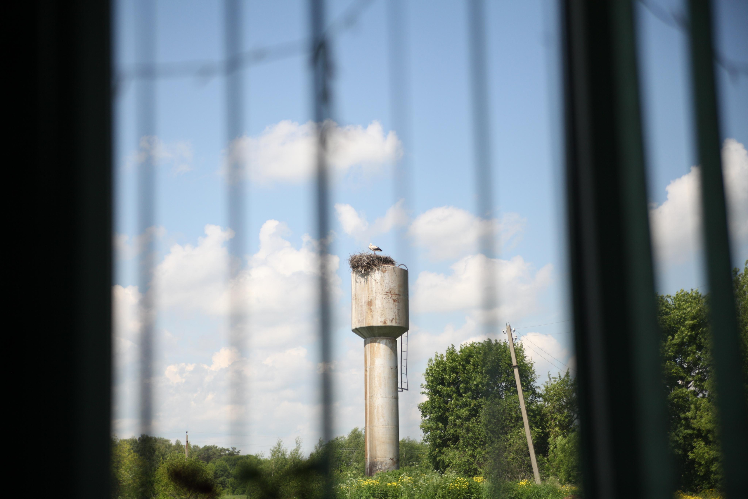 Крылья мира. Куратор и фотограф Варвара Кулаева