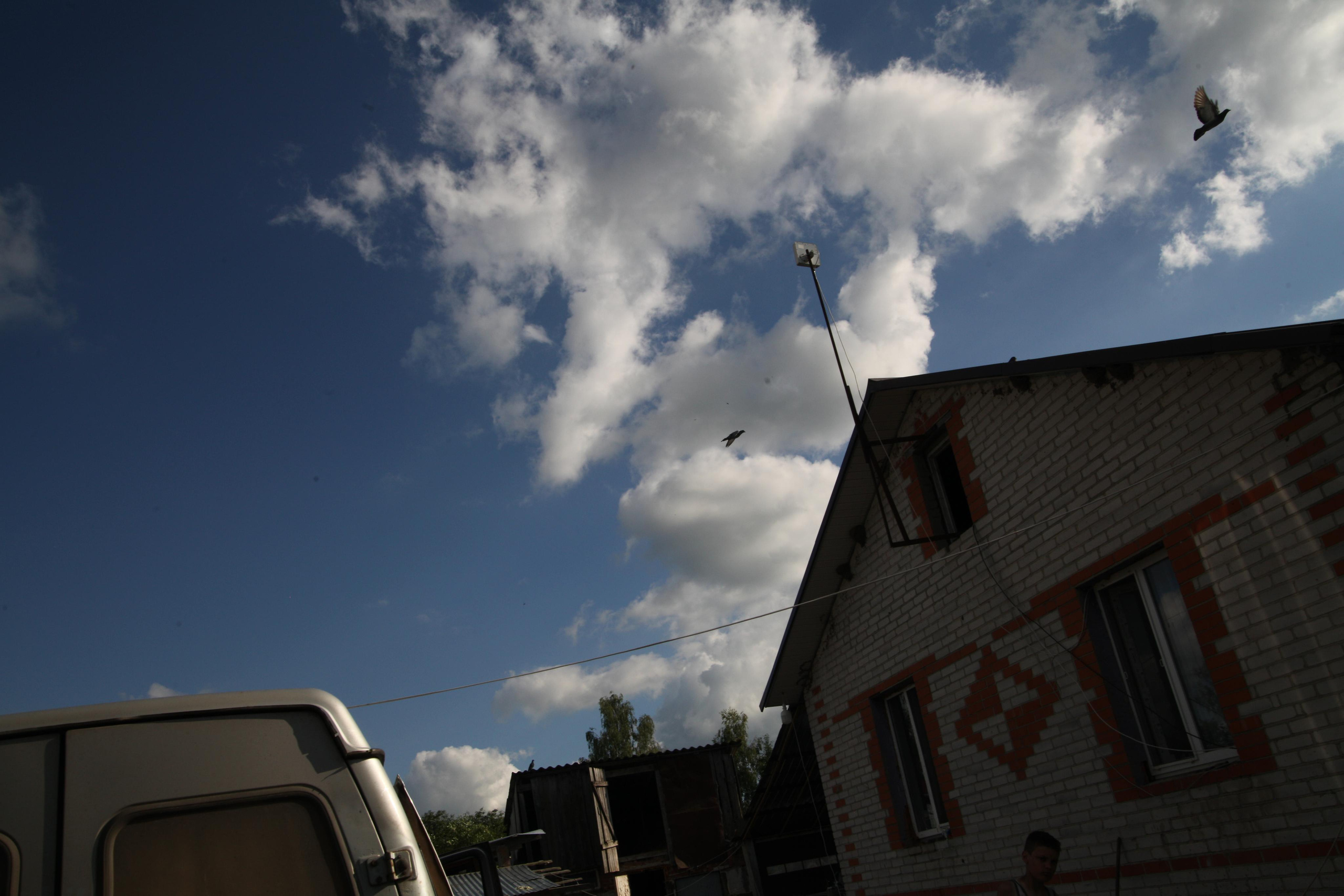 Крылья мира. Куратор и фотограф Варвара Кулаева