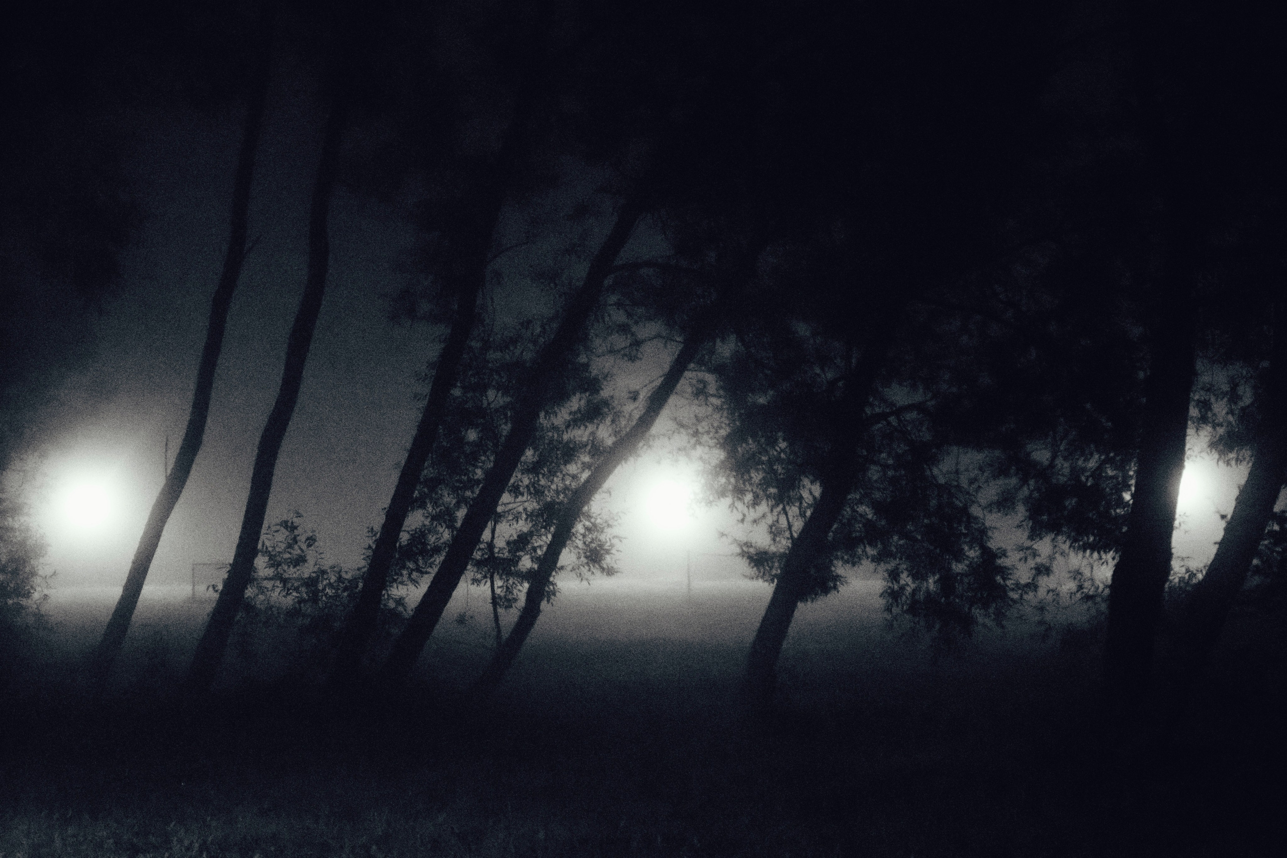 Туман. Фотограф Давыдова Дарья | Xsae_ph