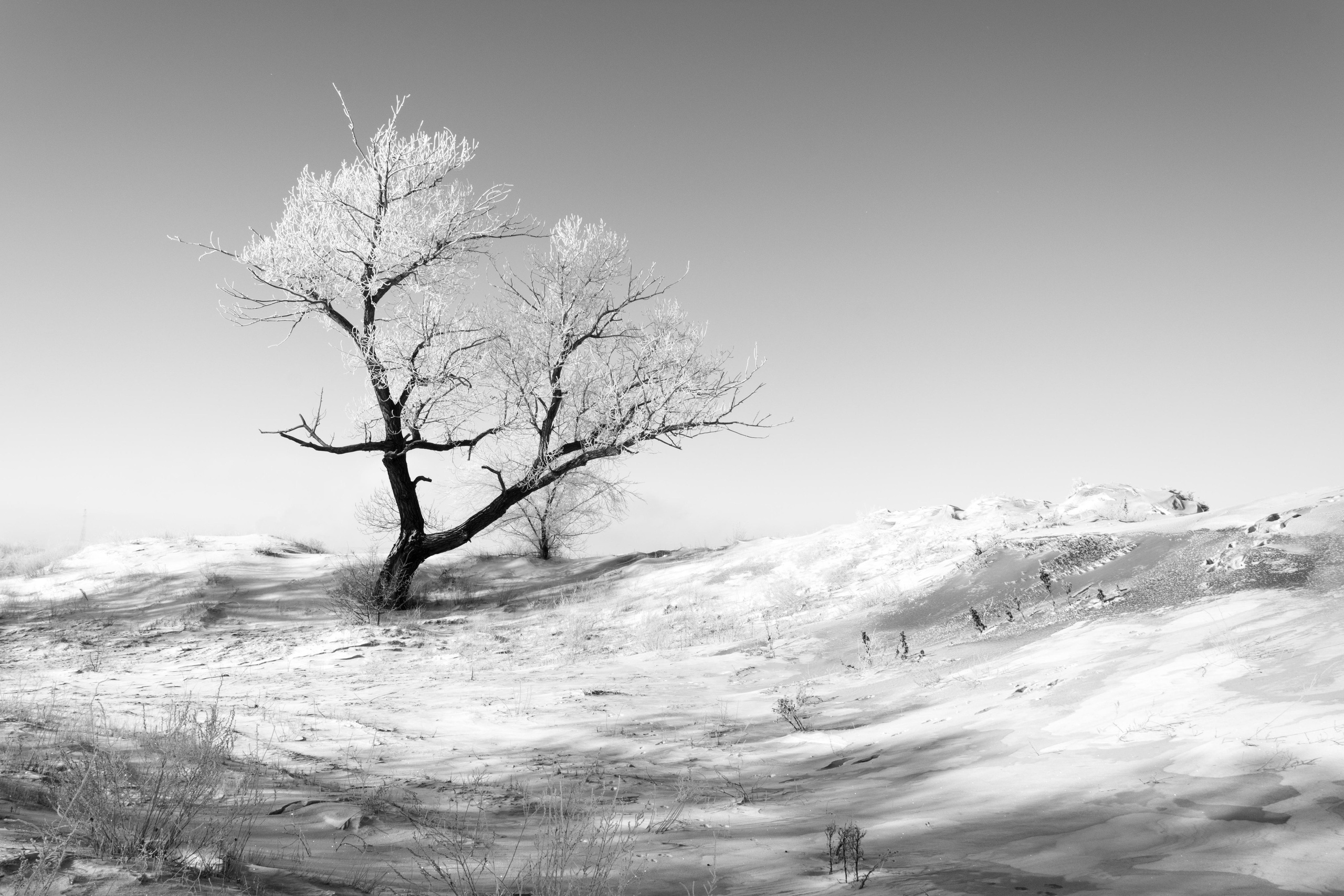 Салтыкова Ольга. ARTEXPOPHOTO