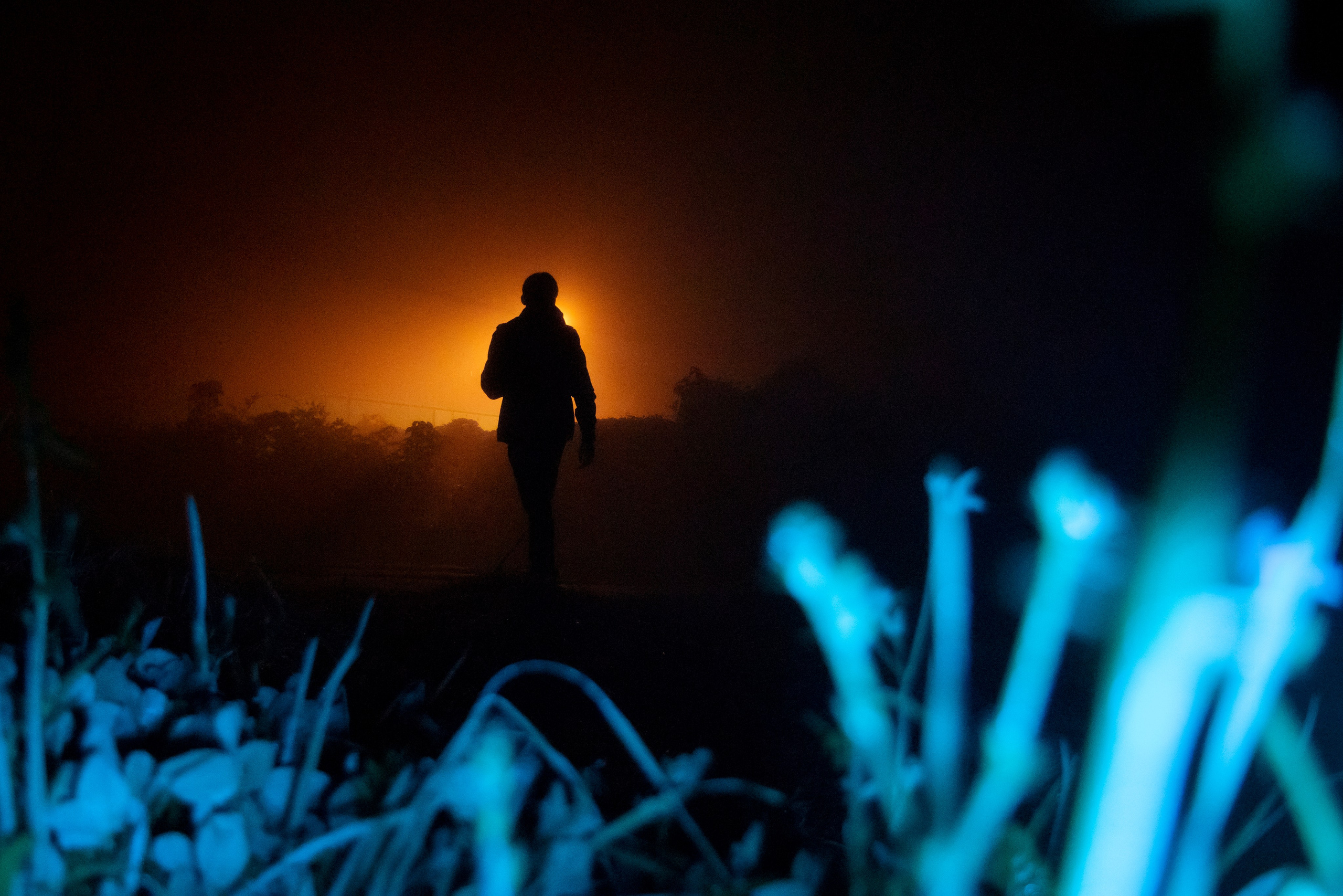 Туман. Фотограф Давыдова Дарья | Xsae_ph