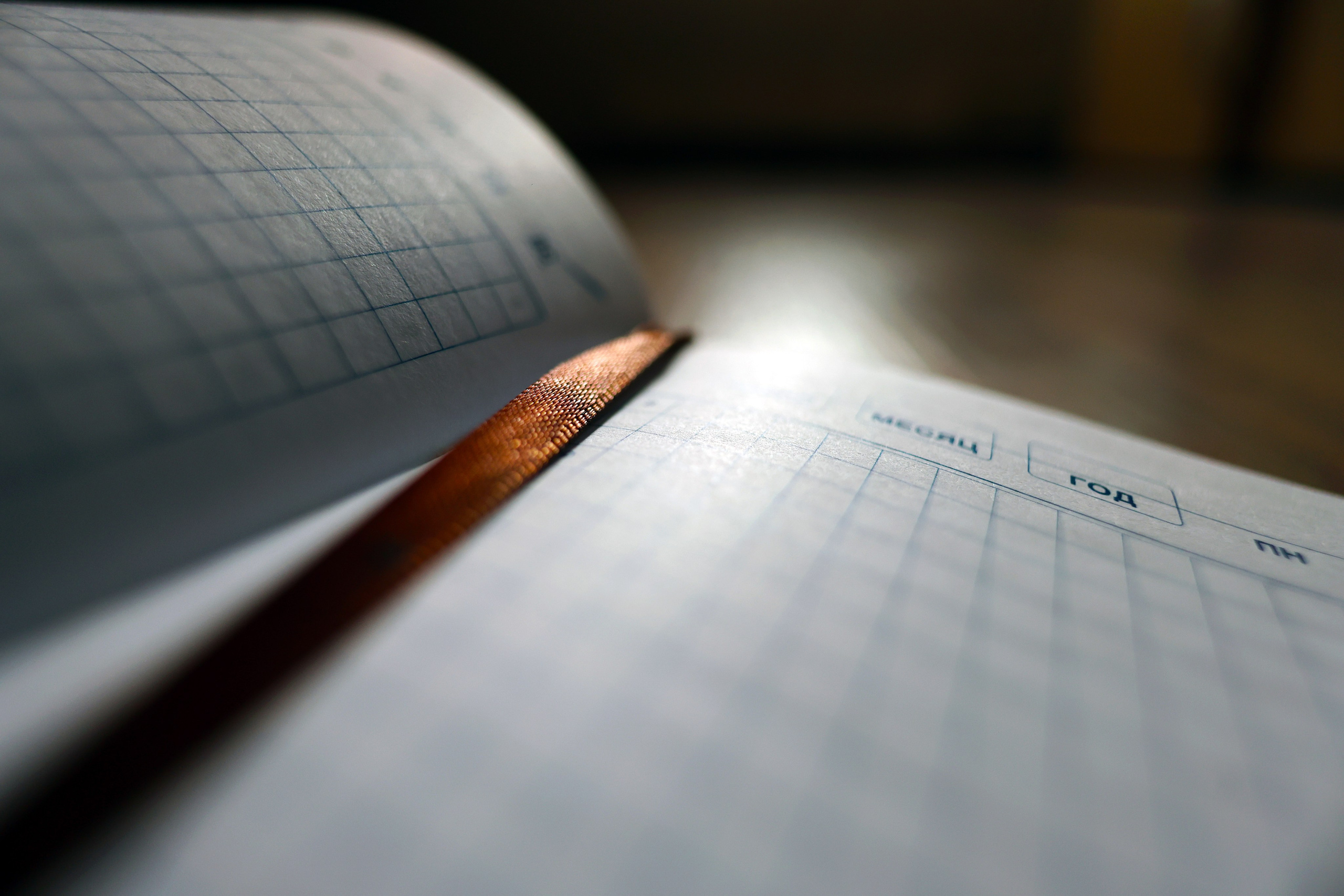 ⭐Ежедневники ручной работы. Фотограф | Видеограф в Кургане, Тюмени и Челябинске