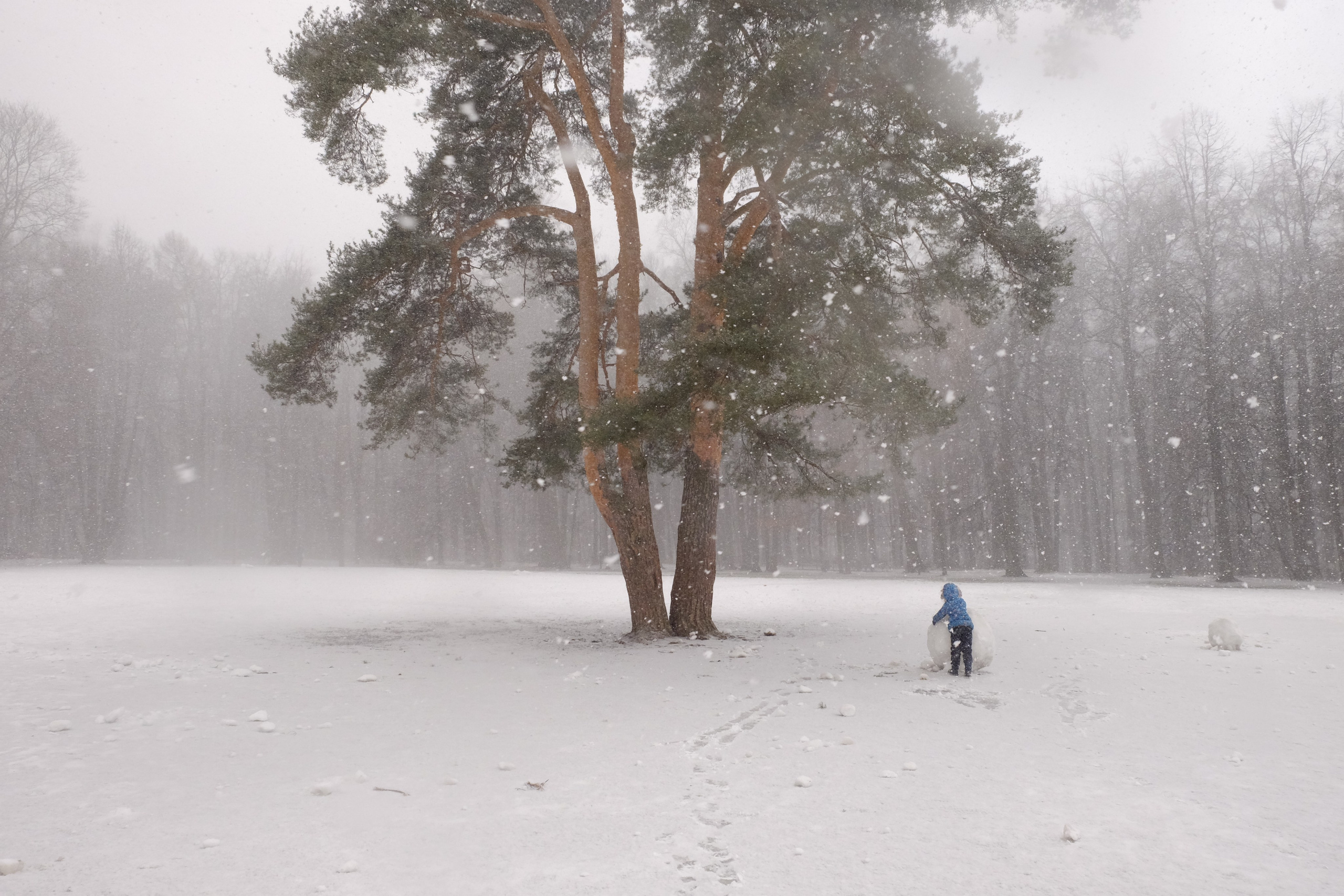 Контакты. Фотограф в Москве Екатерина Демчук