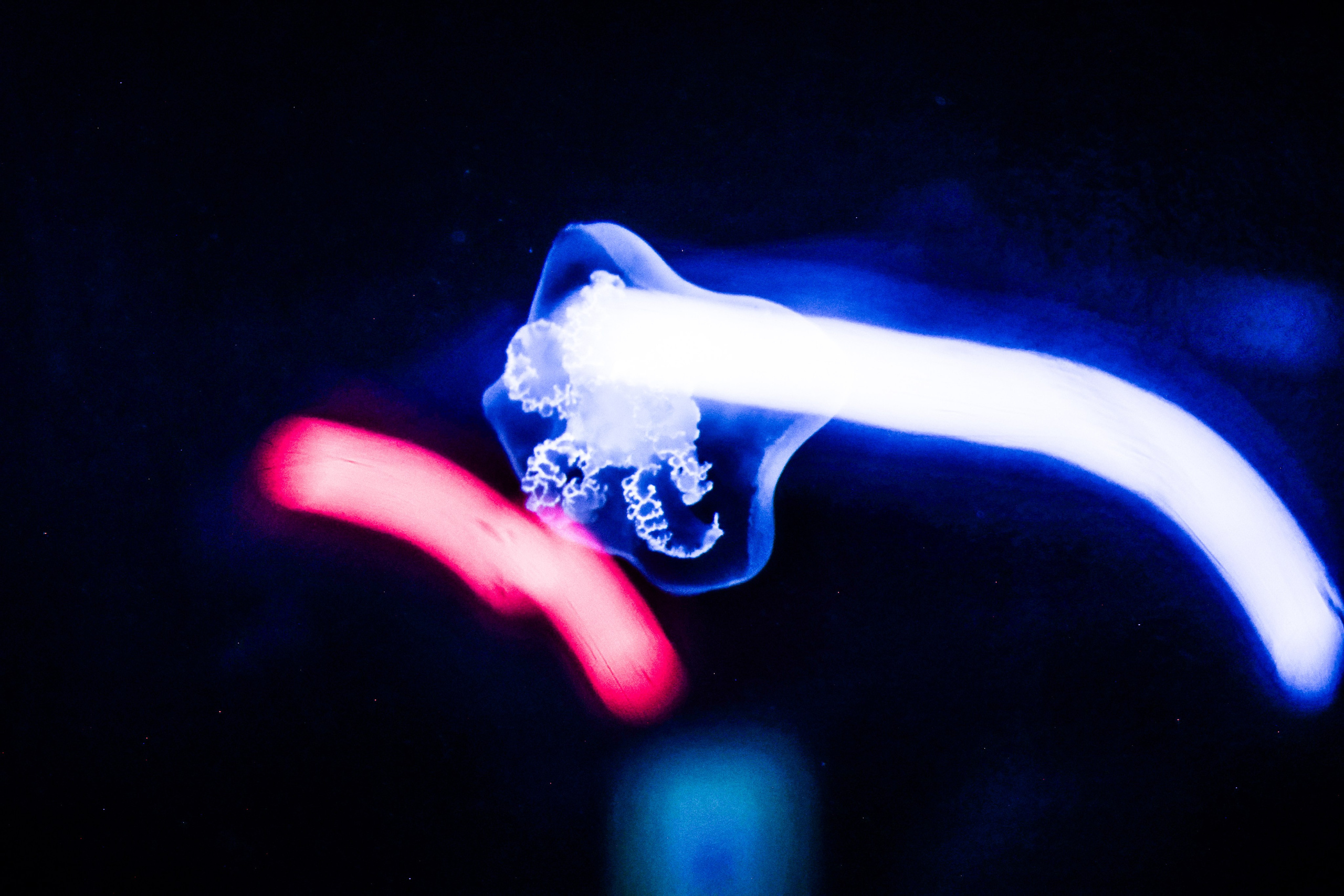 Portfolio. Portrait photographer based in Toronto — Blinova Mariia