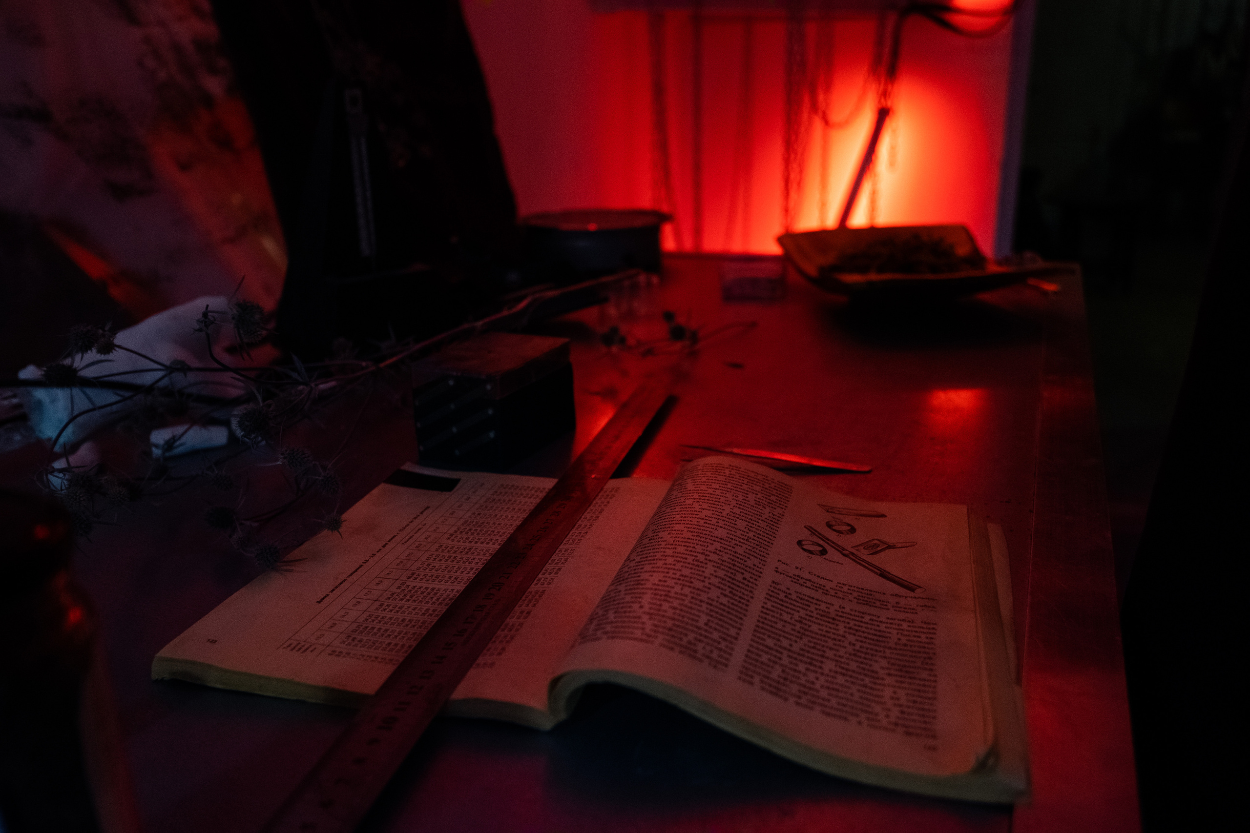 Интервью с Алиной Красновой — Act0fJew. Артём Кузнецов, фотограф, Новосибирск