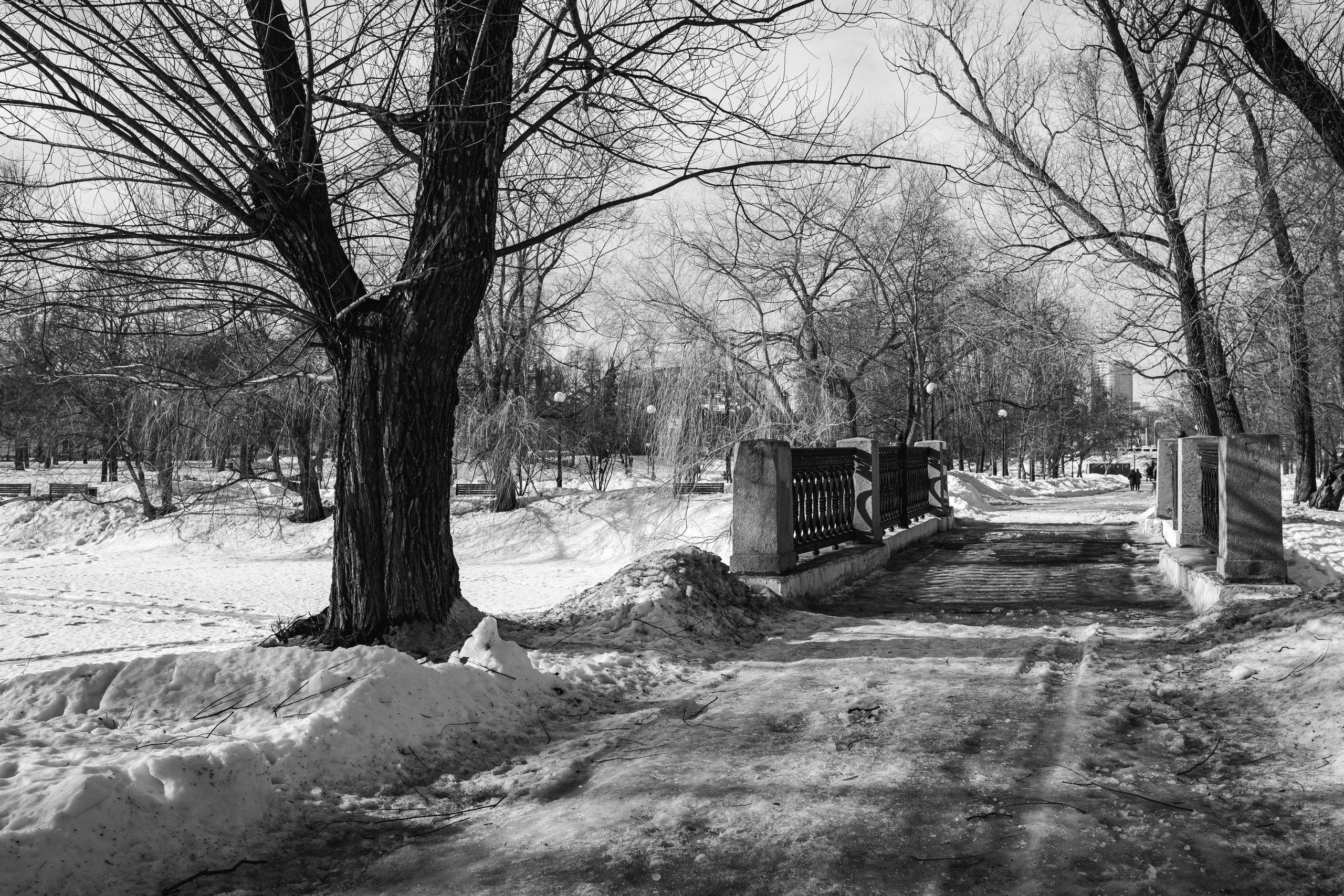 Парк Новодевичьего монастыря