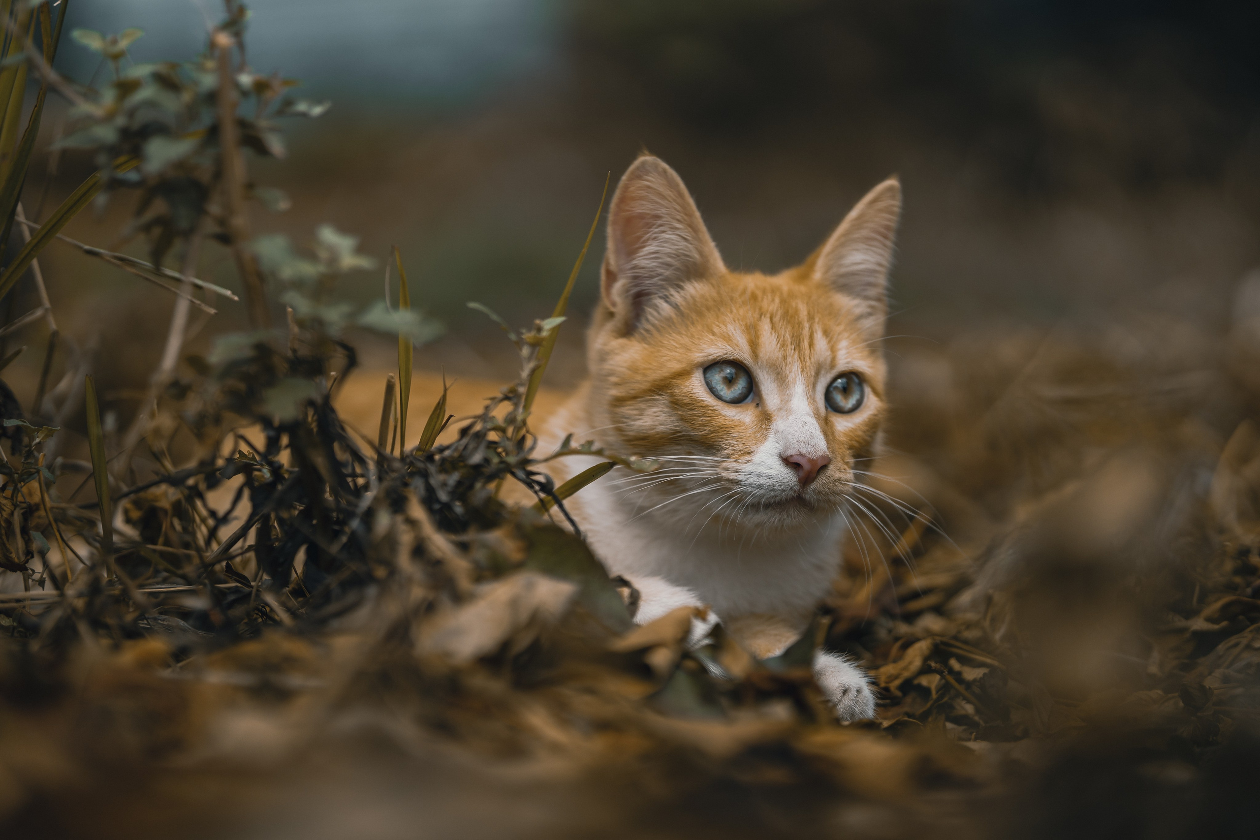 Итоги 2025. Саватейкин Ярослав | Портретный фотограф в Москве