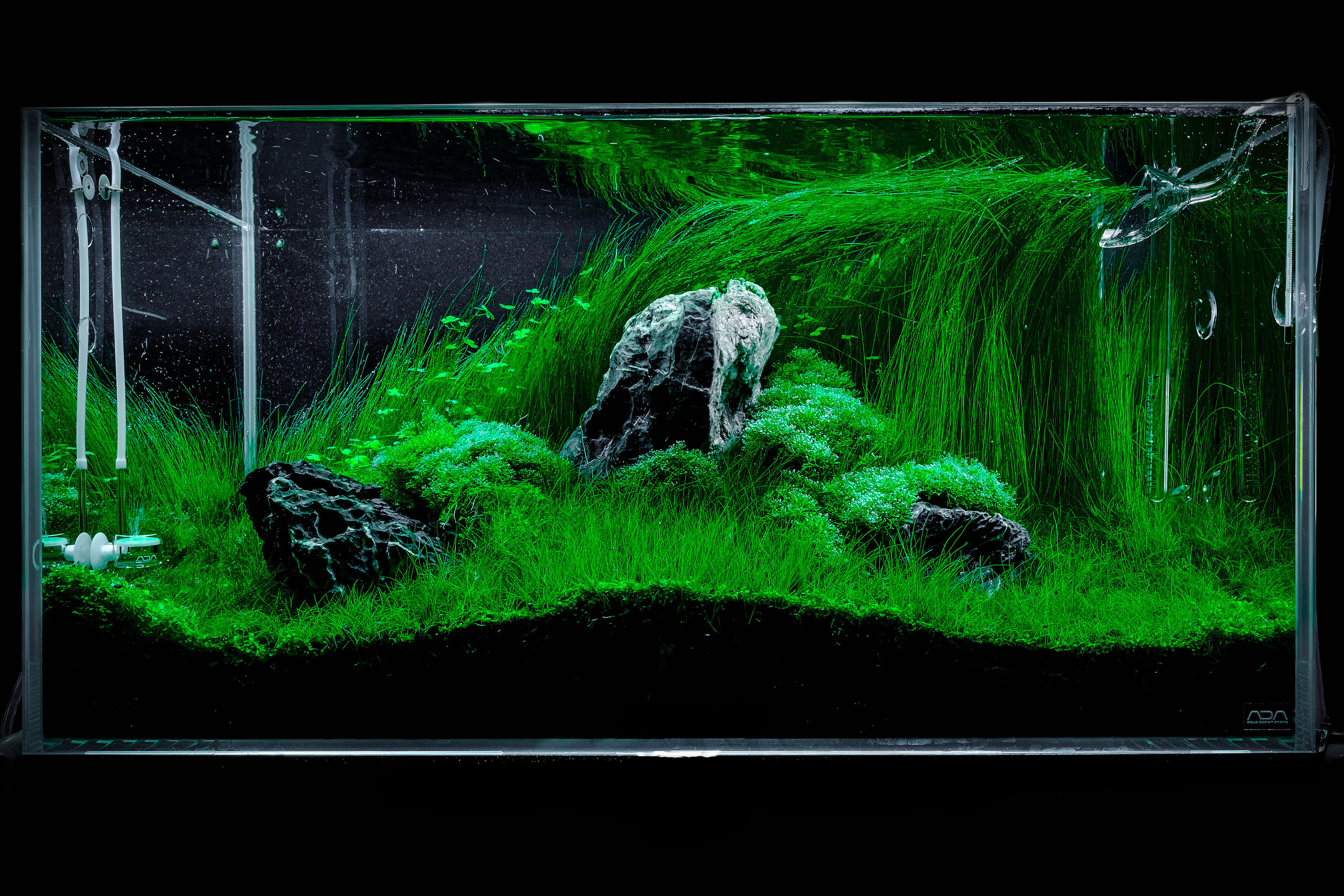 Оформление аквариума. Home