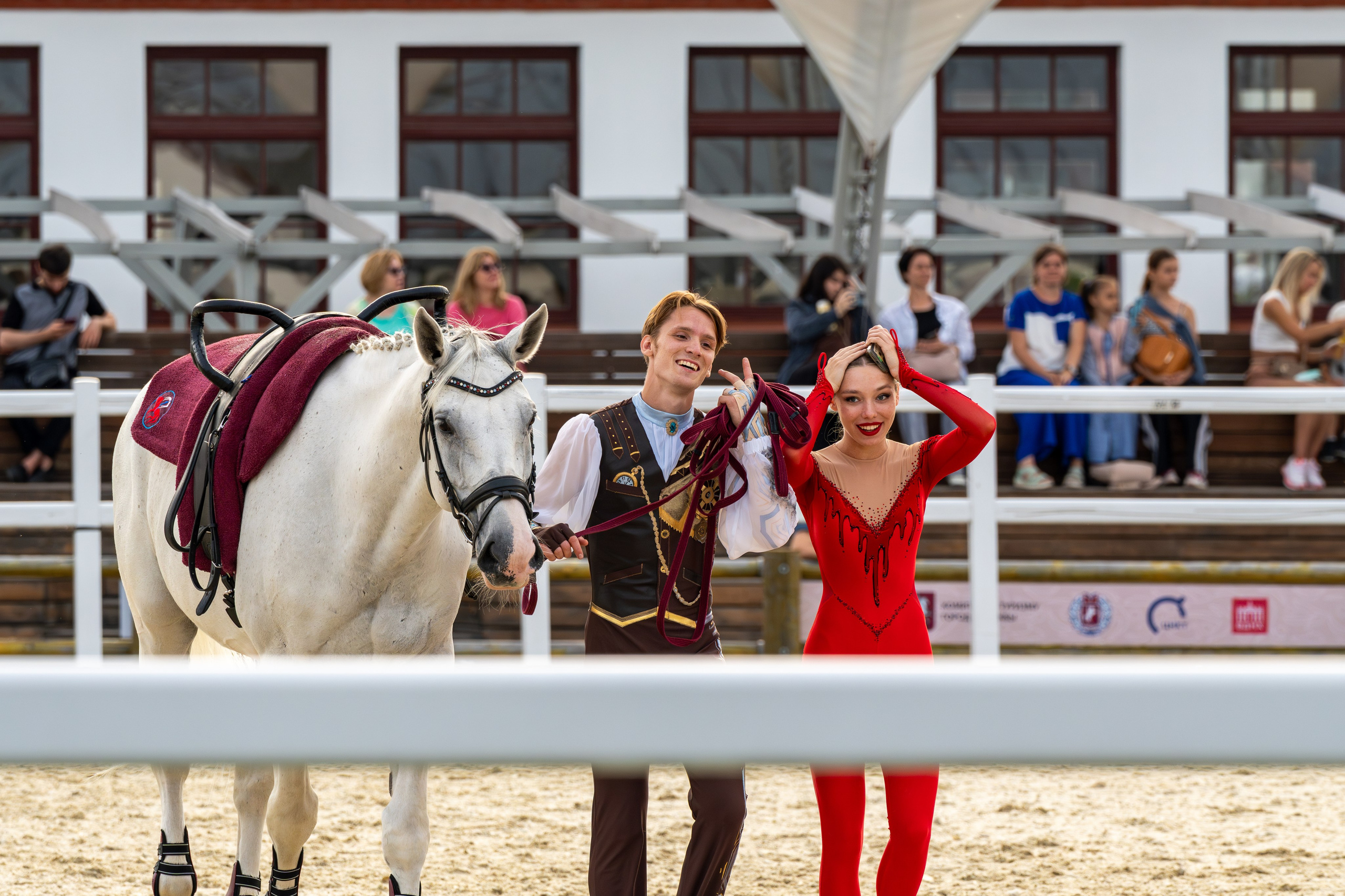 Лошадки. Вячеслав Ка