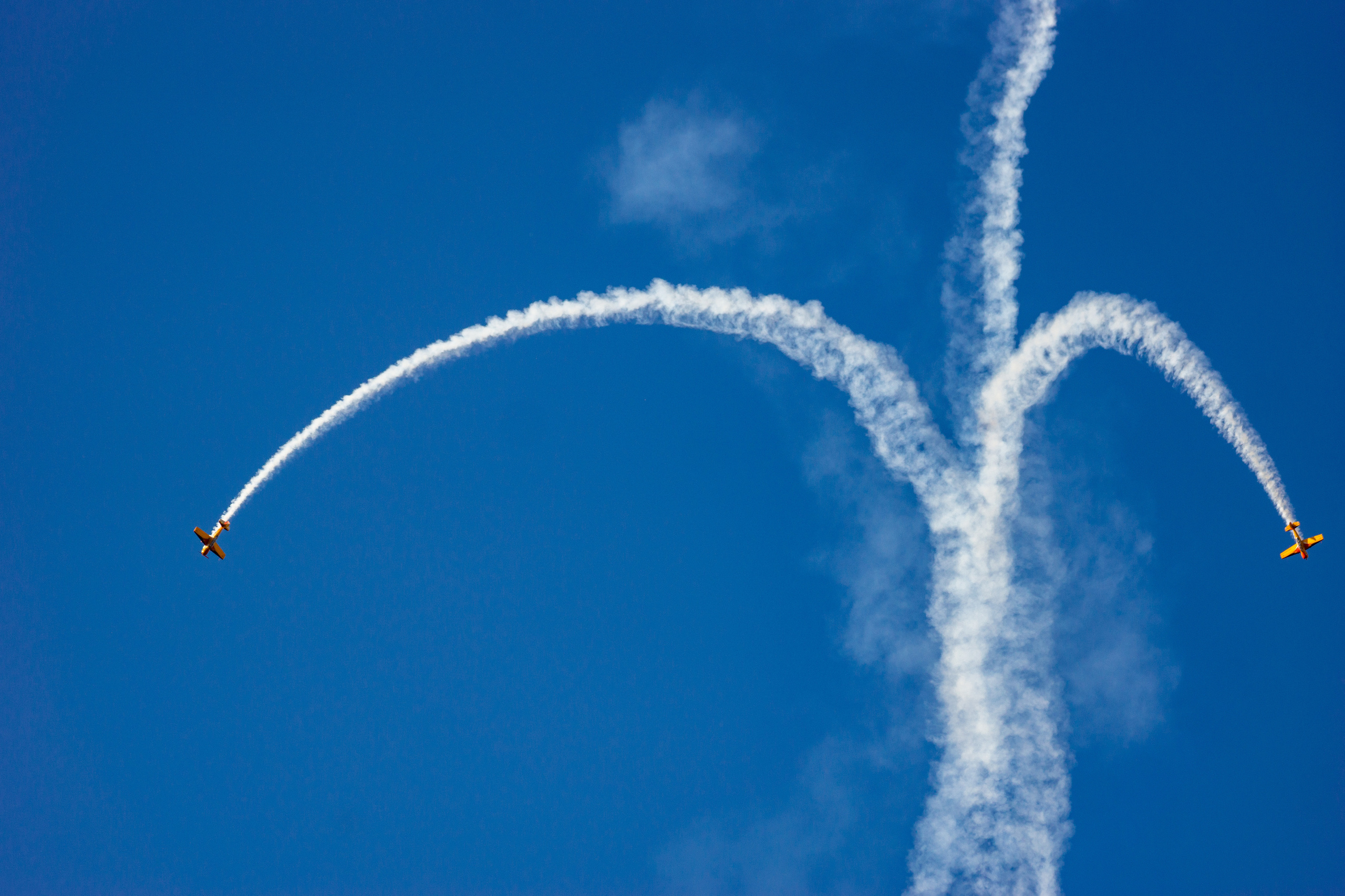 Фестиваль воздушных шаров. Фотограф Тамара Нижельская Воронеж