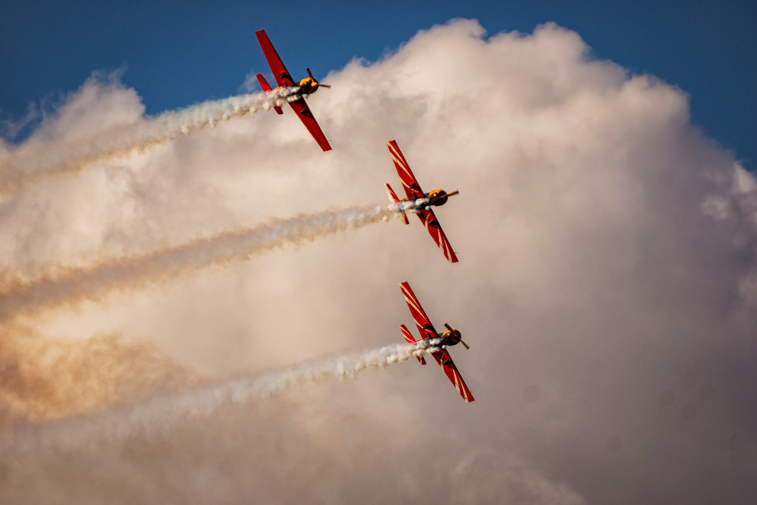 Фестиваль воздушных шаров. Фотограф Тамара Нижельская Воронеж