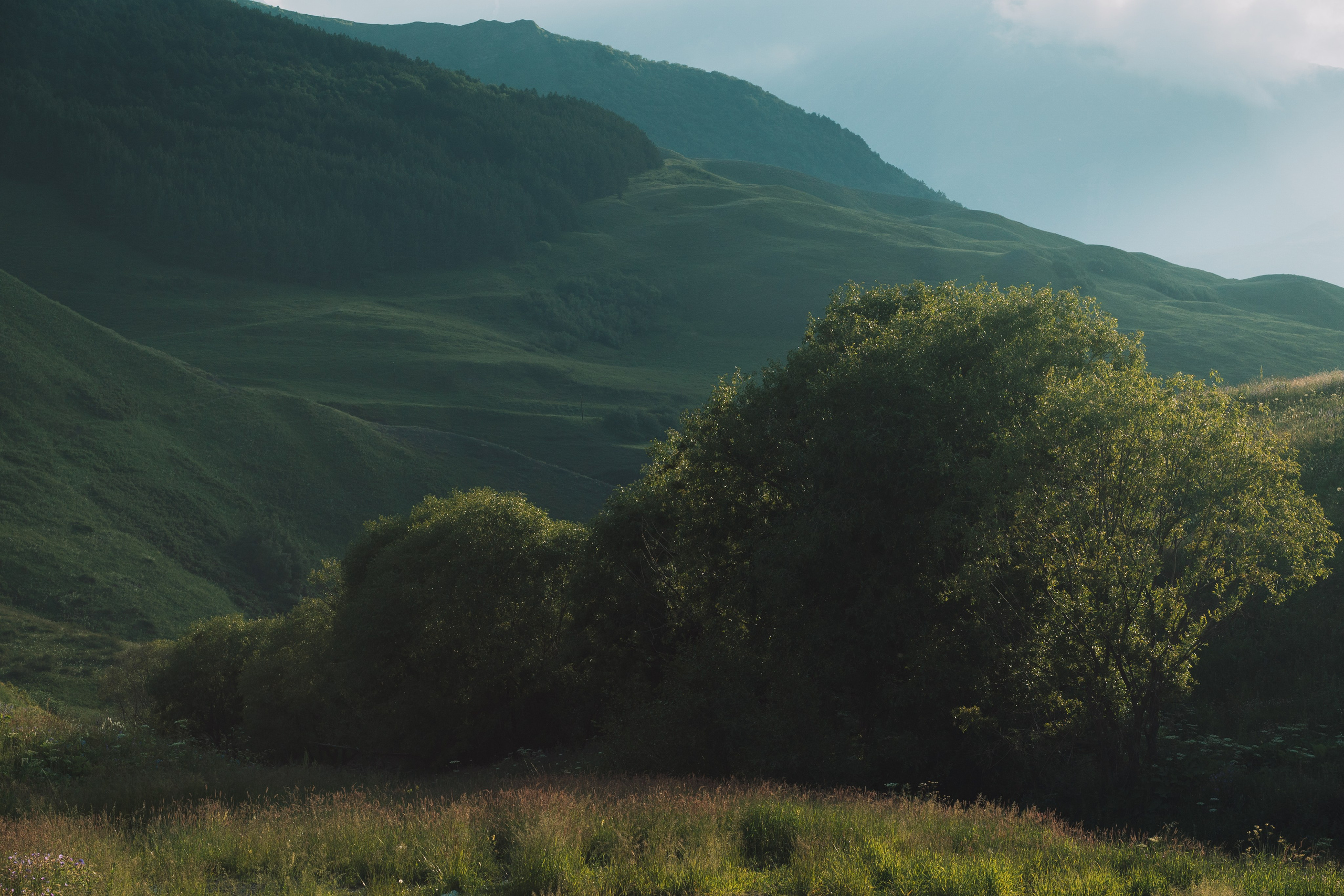 Фотограф Благовещенск Анна Емельянова