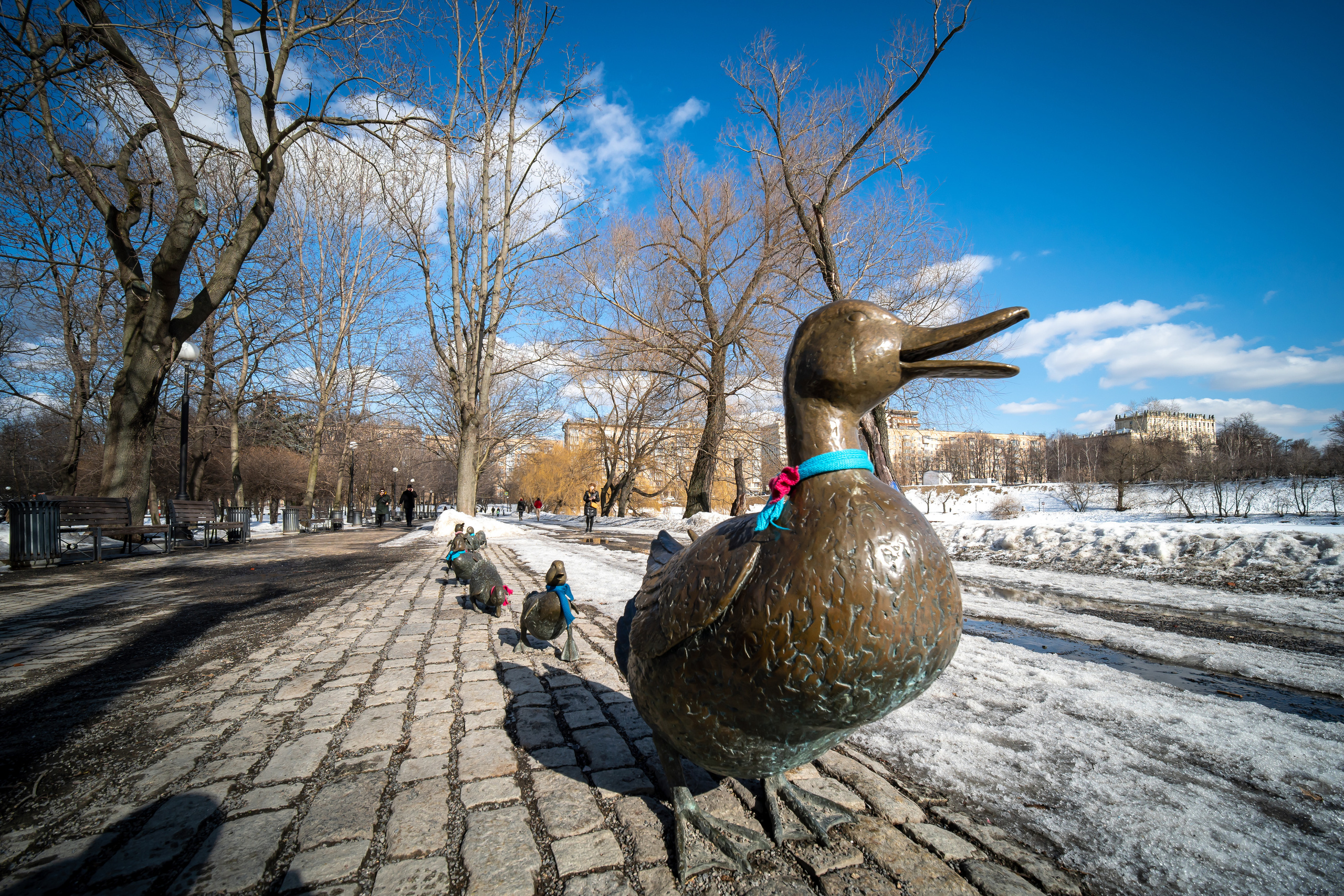 Утята, вперед!