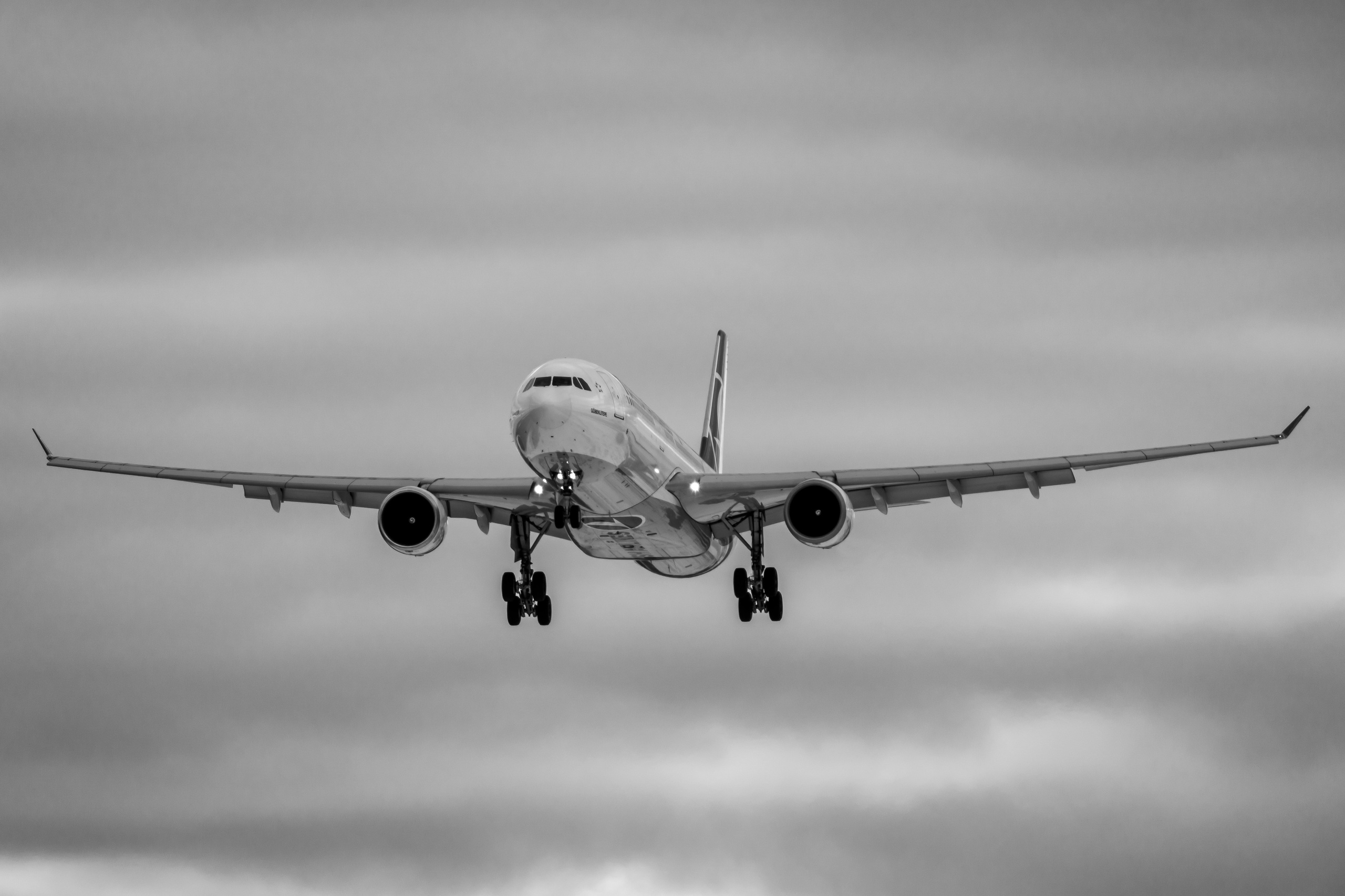 Turkish Airlines во Внуково