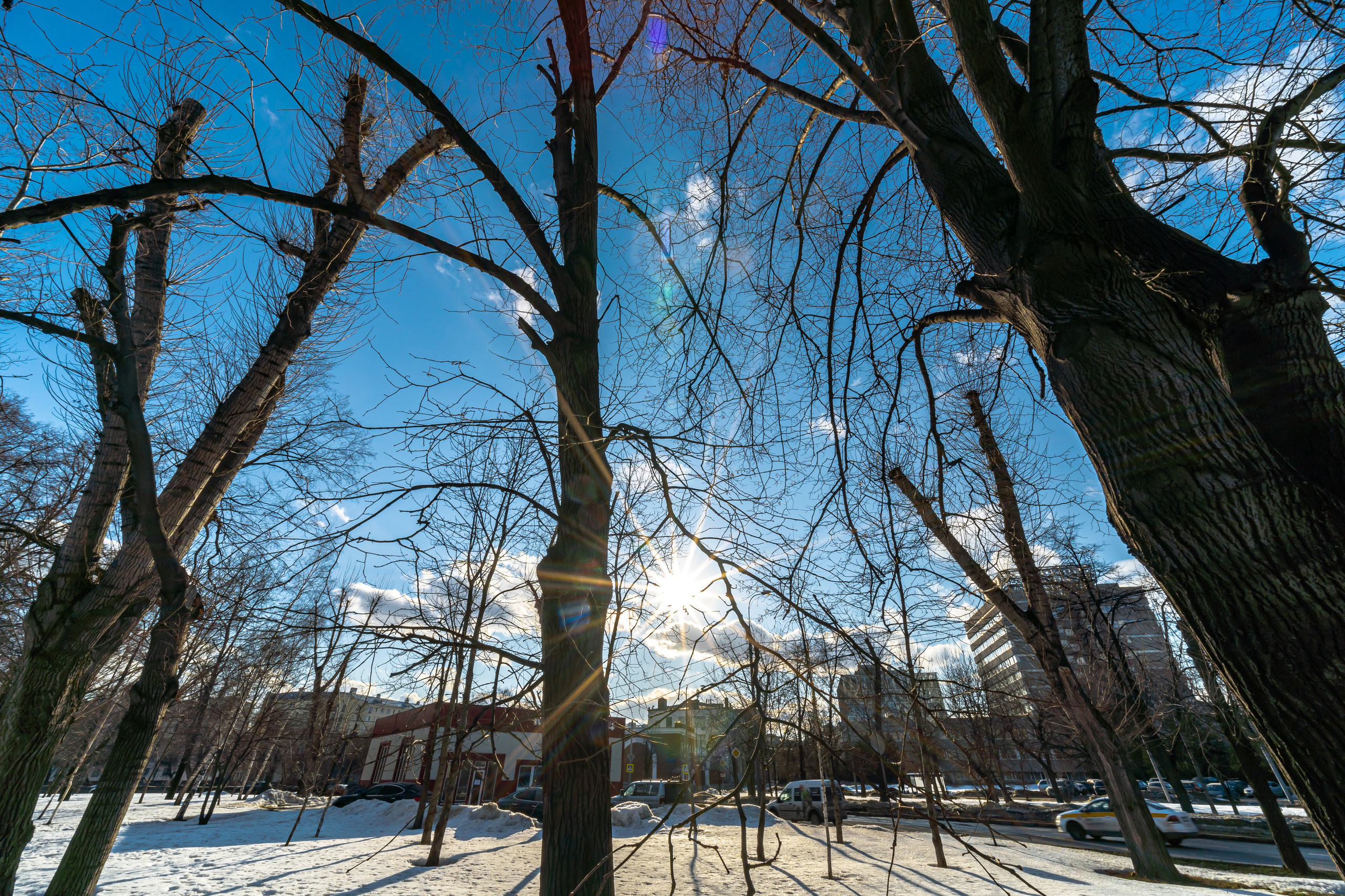 Весенний городской пейзаж с лучами солнца сквозь деревья возле Сыромятнического гидроузла