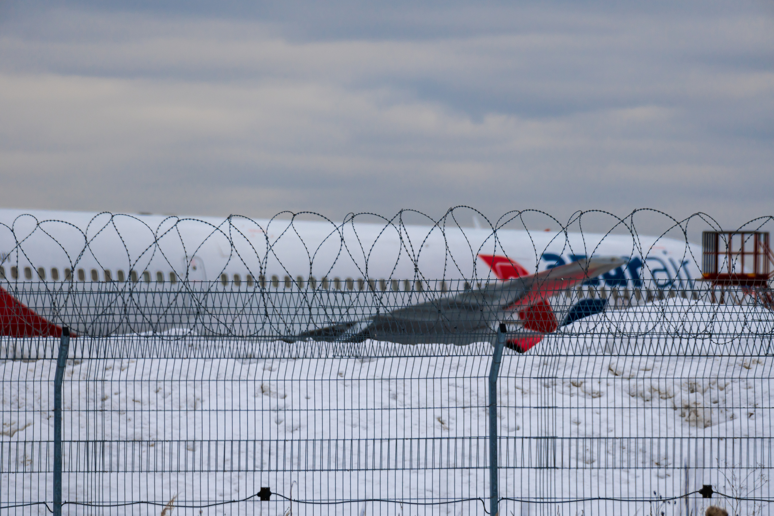 Azur Air во Внуково