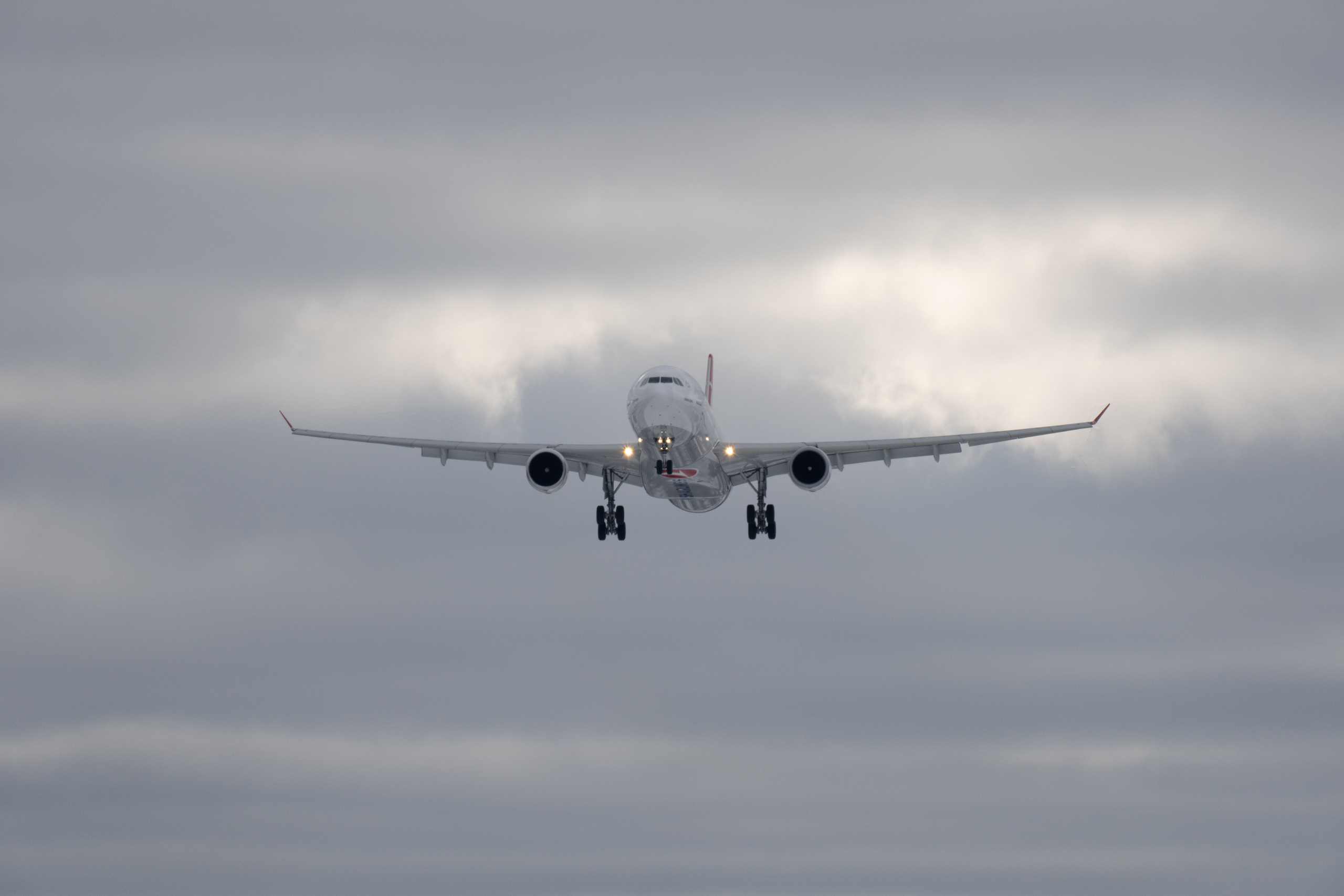 Turkish Airlines во Внуково