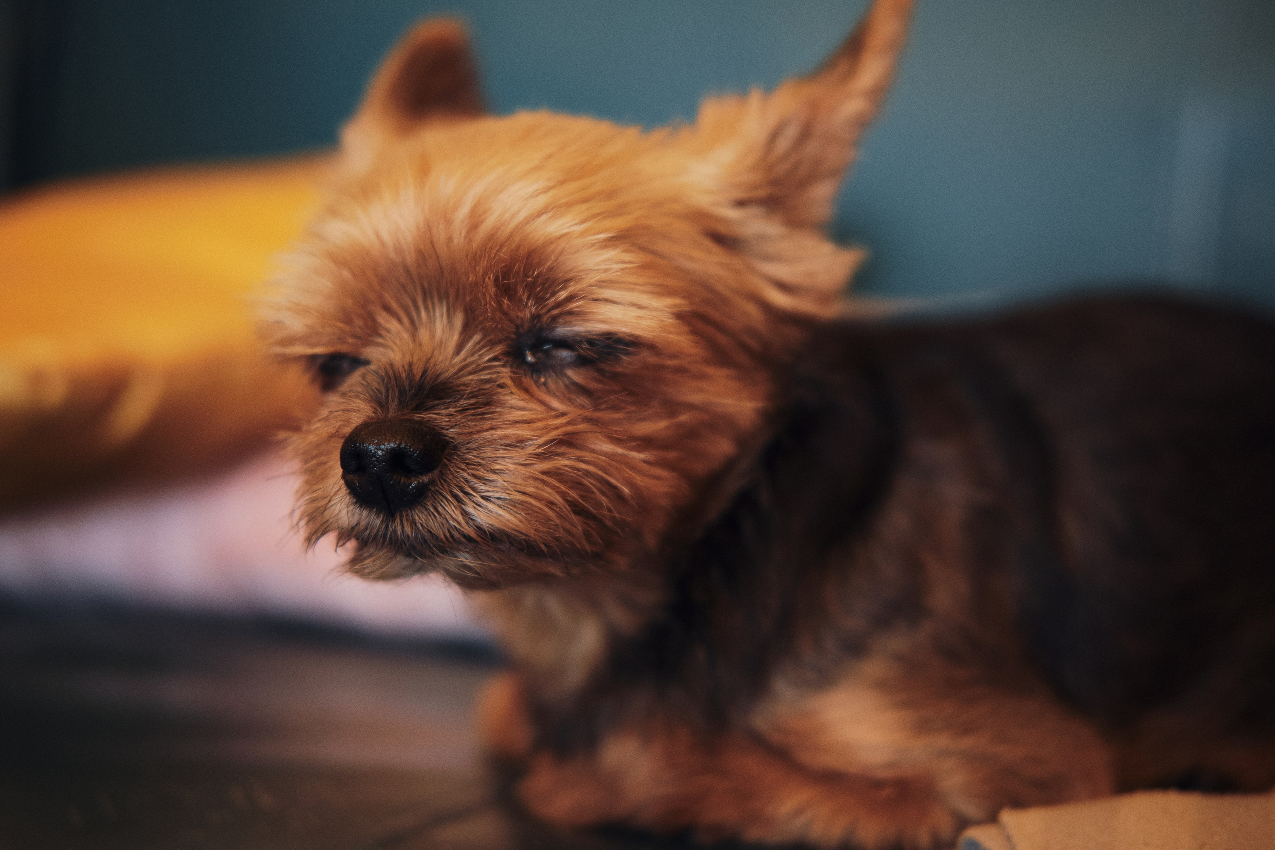 Сёрфинг в Новосибирске. Интервью с Игорем Гартвичем. Артём Кузнецов, фотограф, Новосибирск