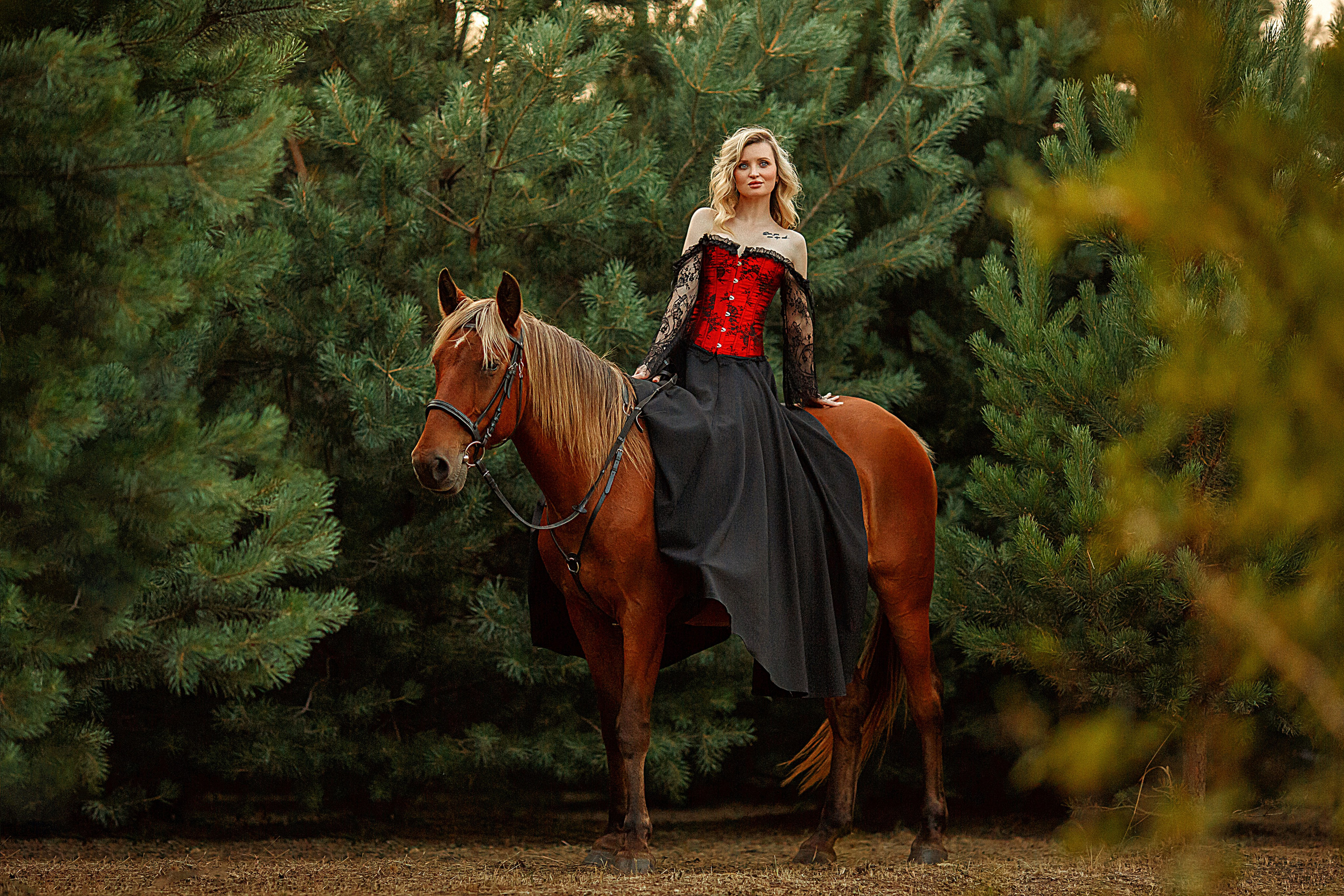 Пакеты услуг. Конный фотограф в Благовещенске-Мария Балабанова