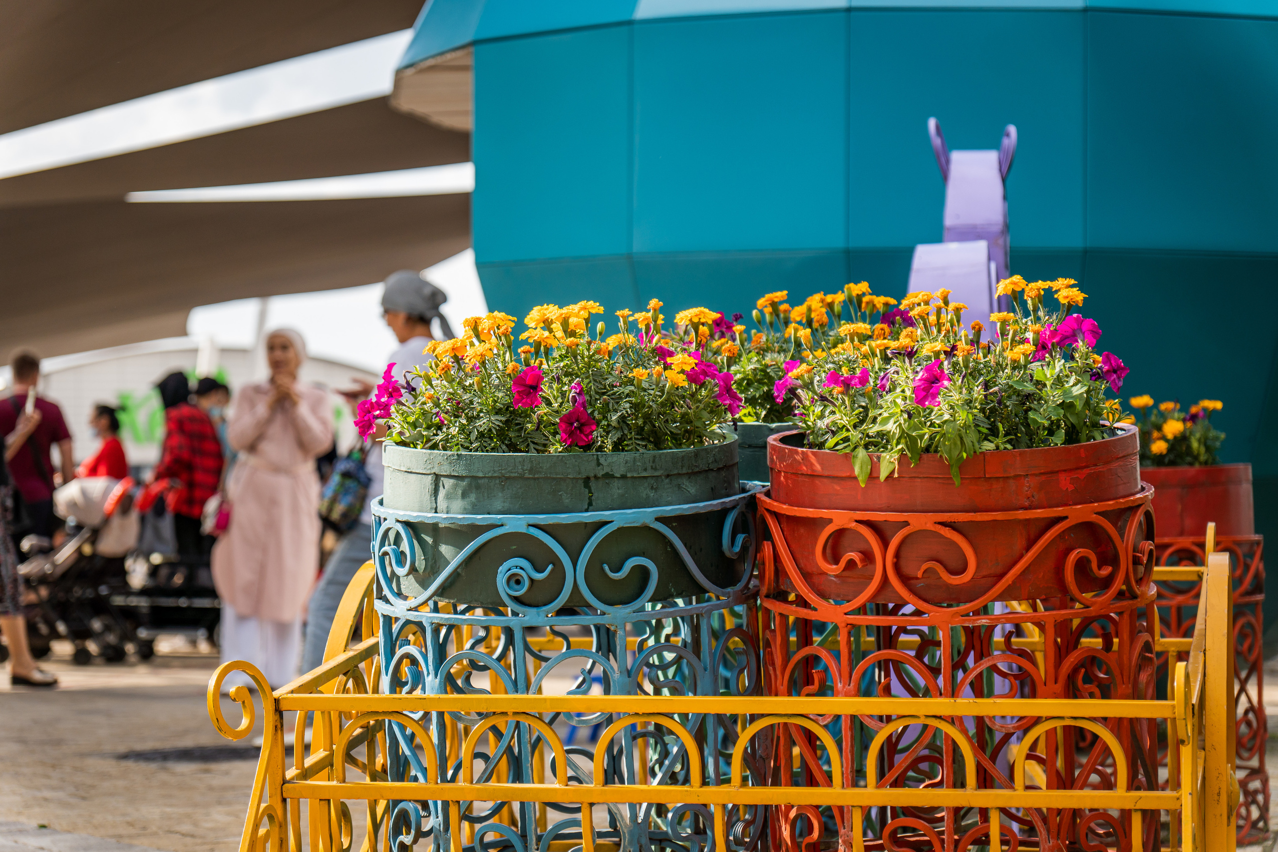 Цветы на Кок Тобе