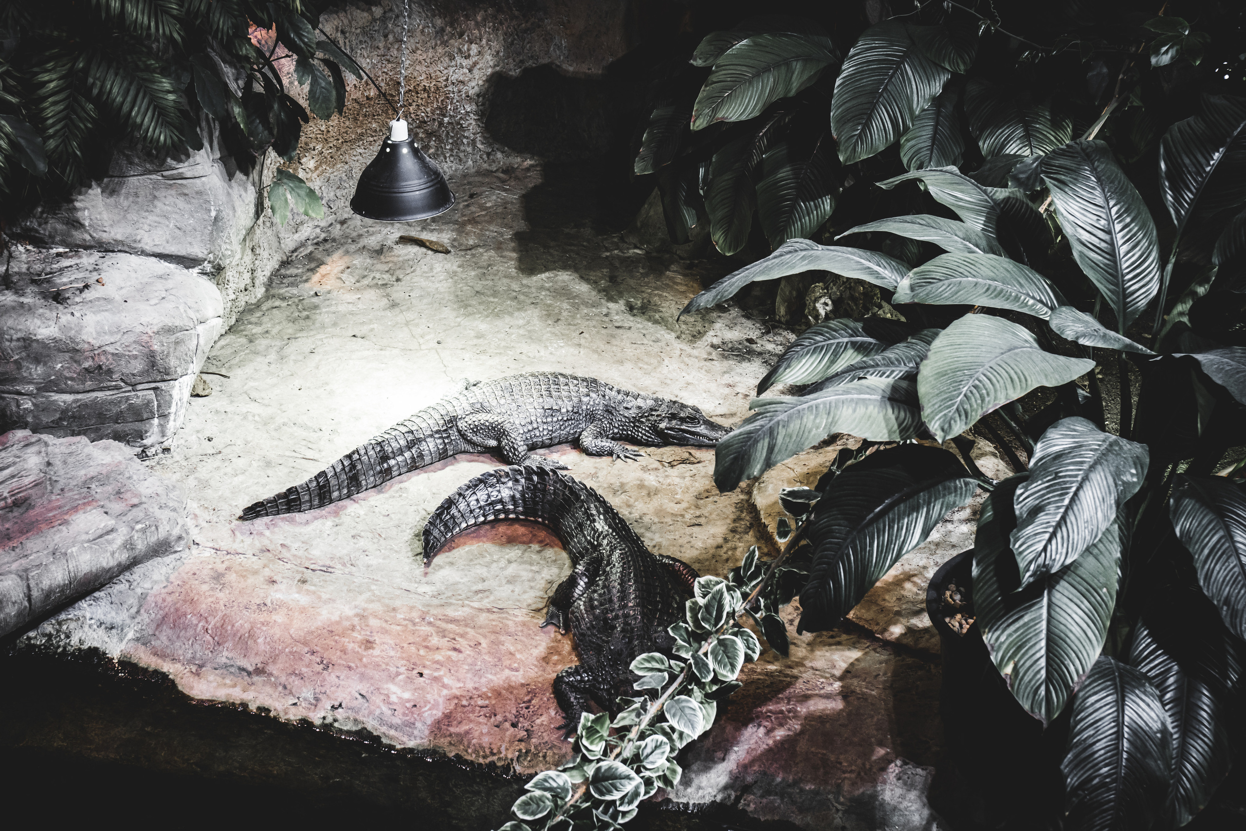 Москвариум на ВДНХ