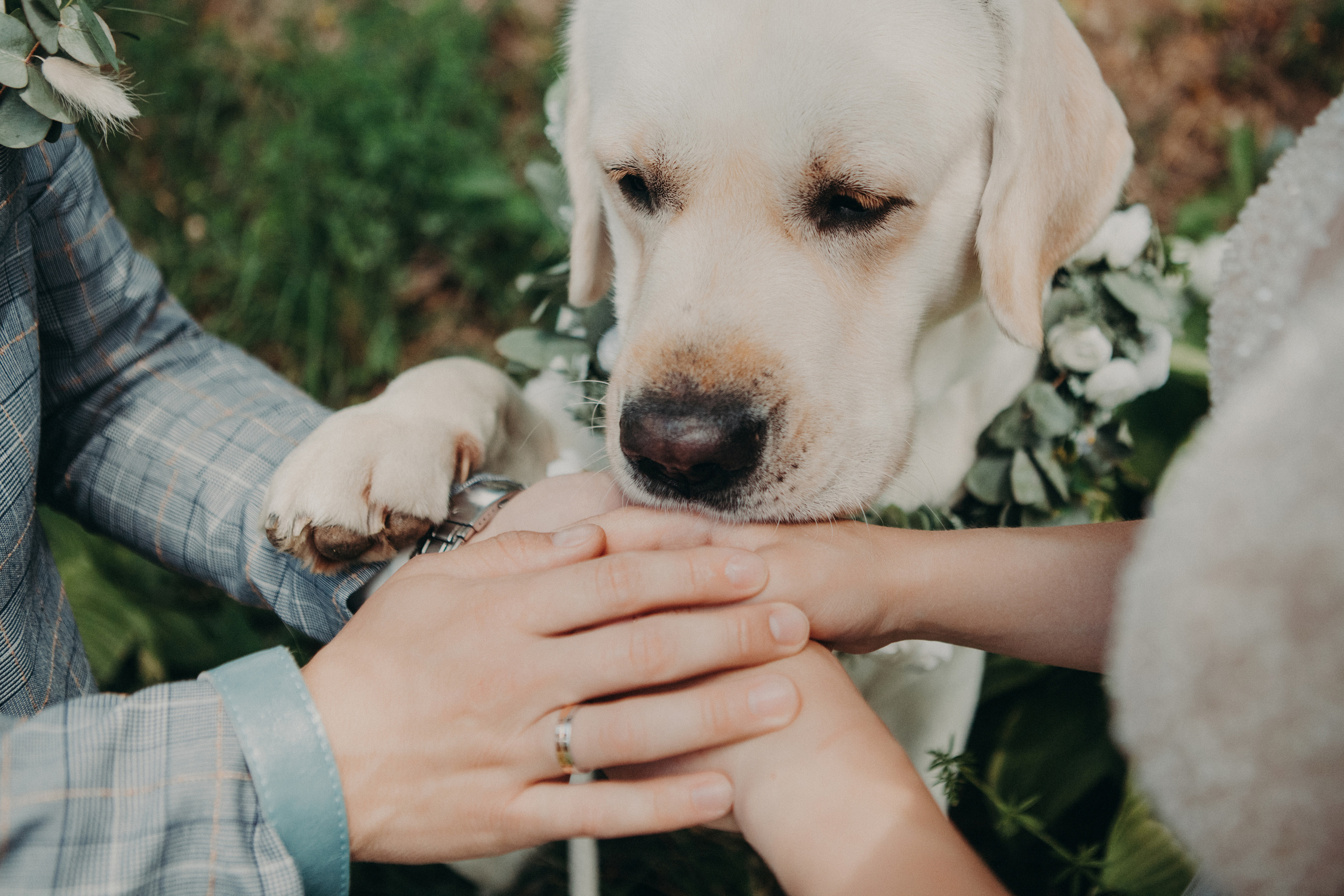 Свадебное фото и видео Москва Кристина Музыка