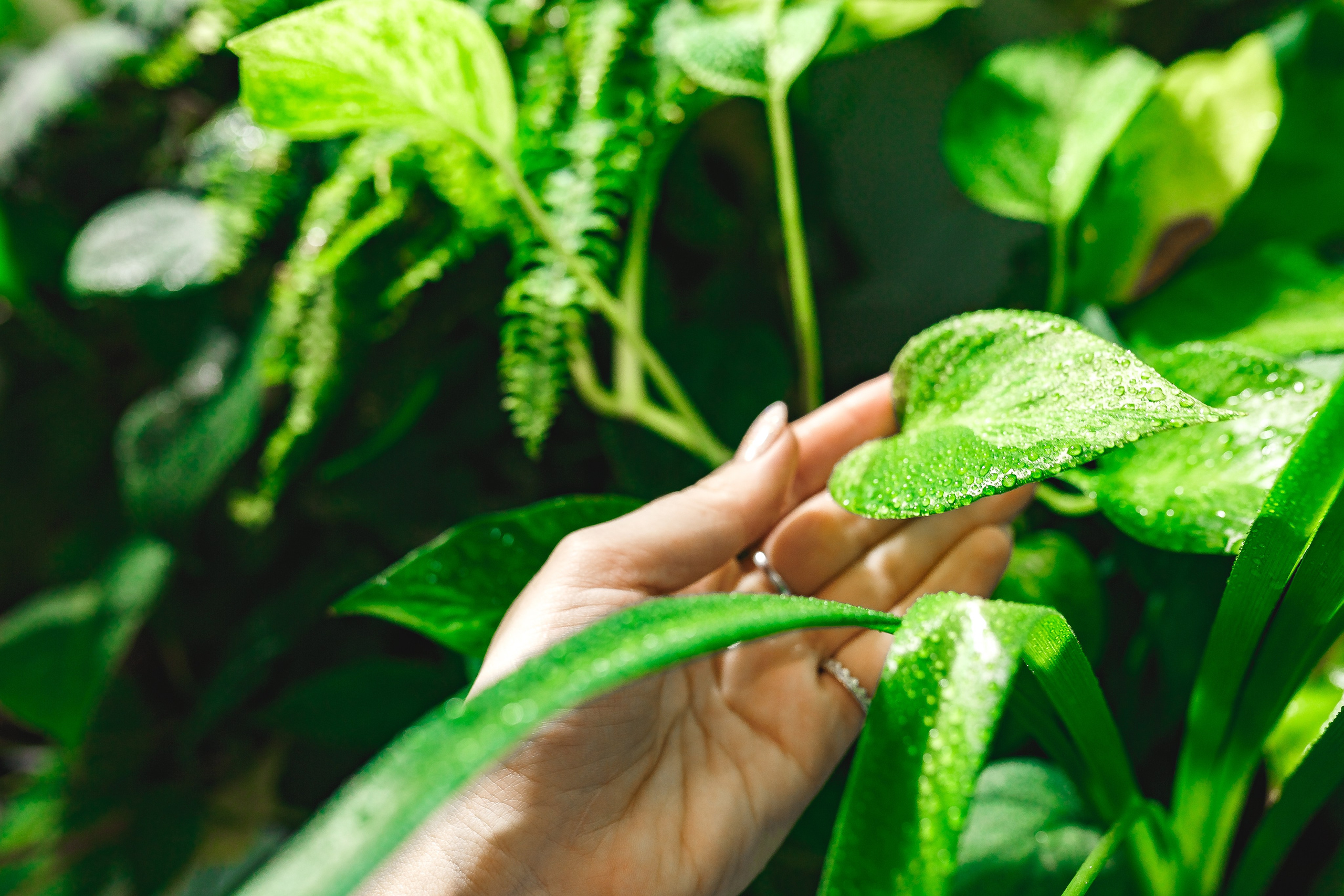 Портретная фотосессия. Семейный фотограф в Екатеринбурге