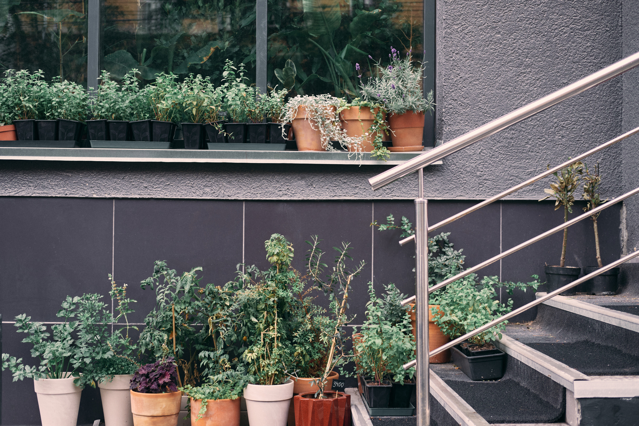 Интервью с Марией Солоповой — Plants NSK. Артём Кузнецов, фотограф, Новосибирск
