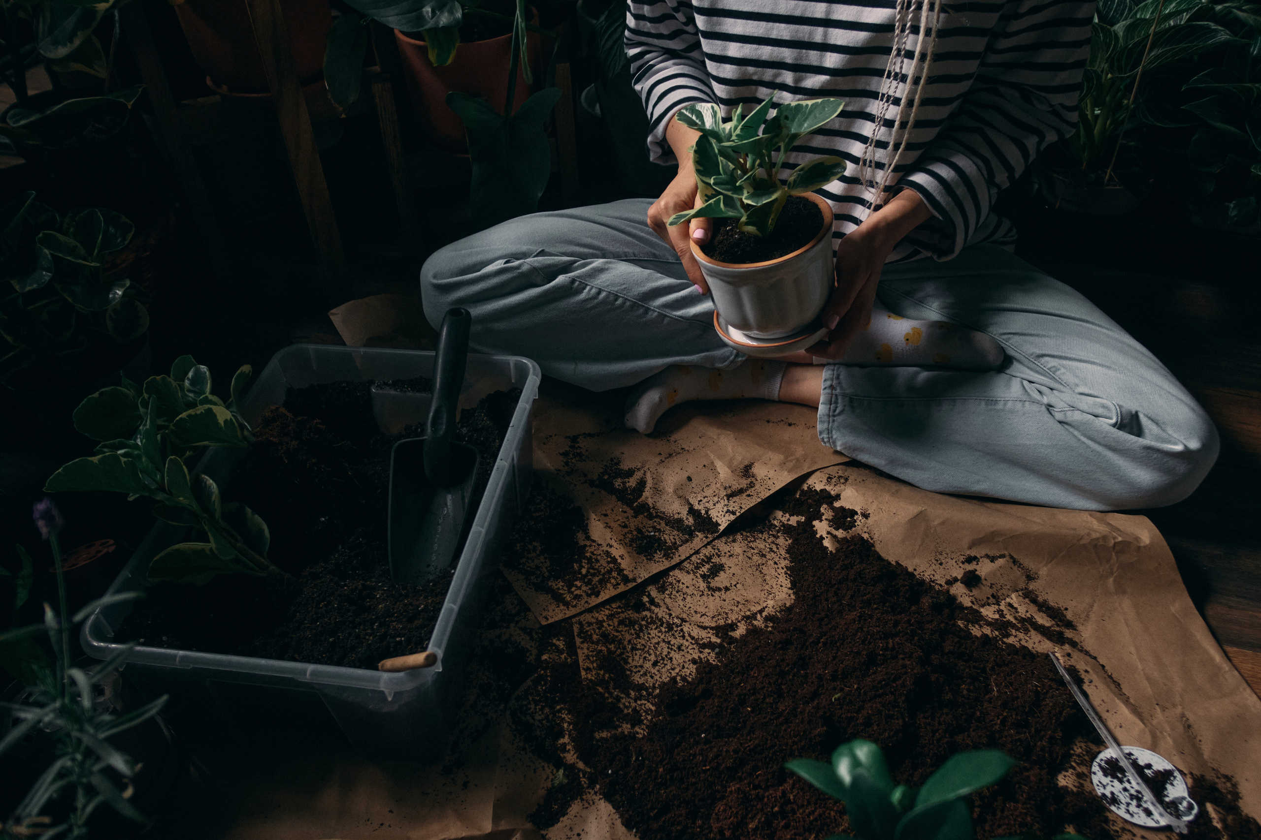 Интервью с Марией Солоповой — Plants NSK. Артём Кузнецов, фотограф, Новосибирск