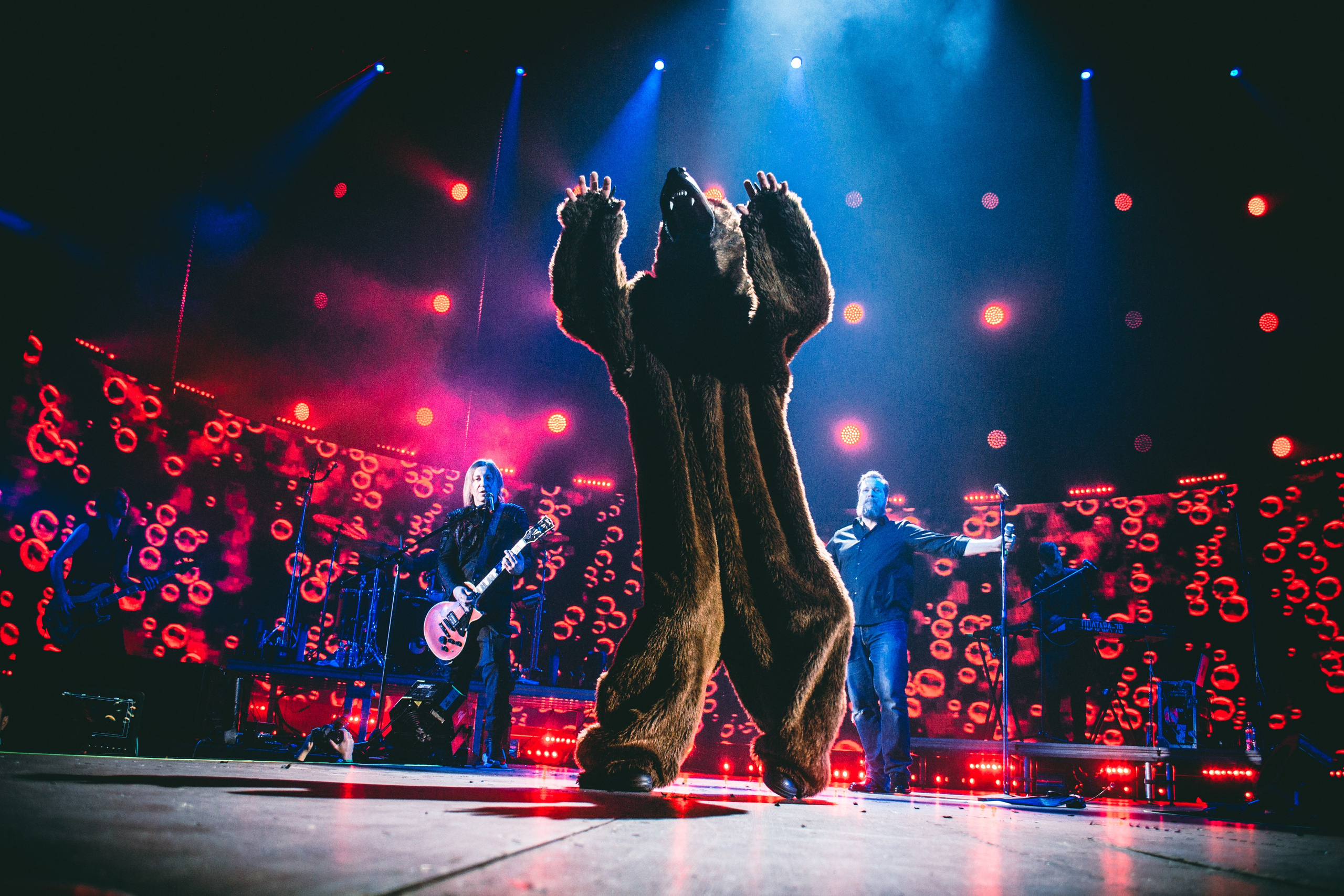Обо мне. Кира Молко — Концертный фотограф в Санкт-Петербурге