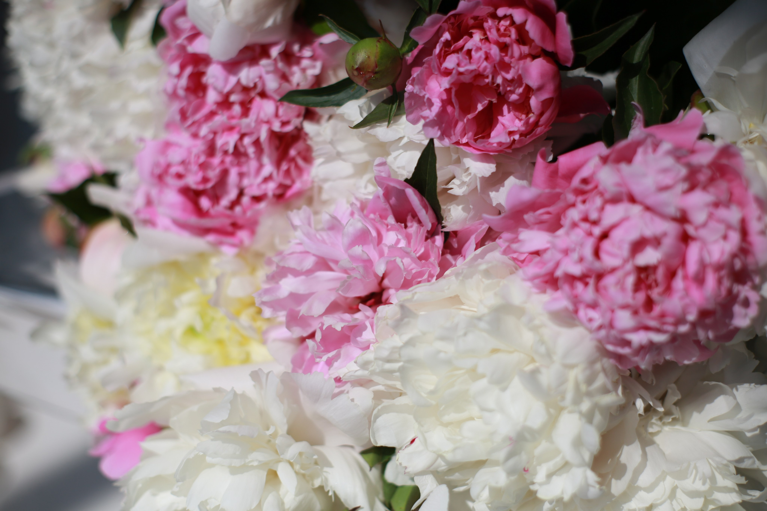 Услуги. Фотограф Зезюлина Анна