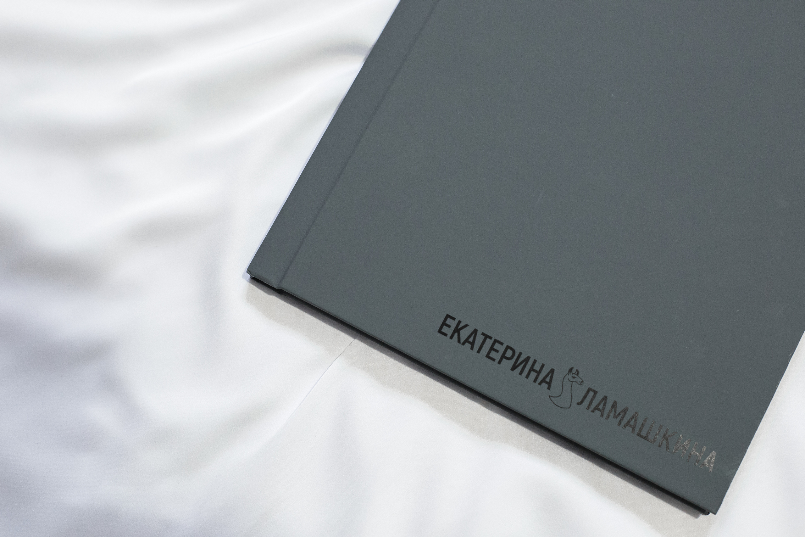 Фотограф в городе Тюмень, Беременные, Фотосессии в студии, Регион 72, Фото сессия, Photo, Tyumen, Pergant, Photosession, N.vtym Ajnj <thtvtyyst ajnjctccbz