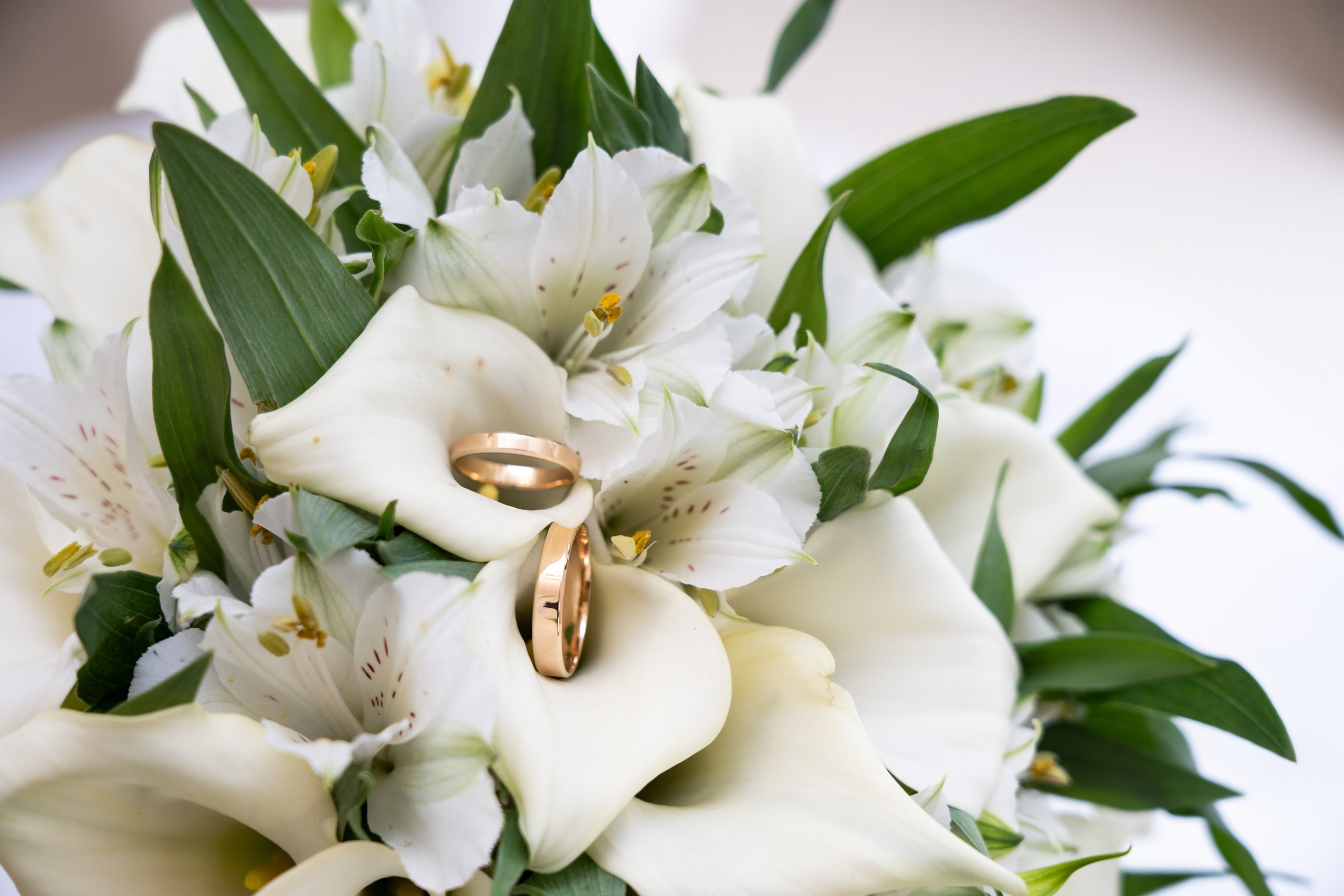 Услуги. Легкая фотография