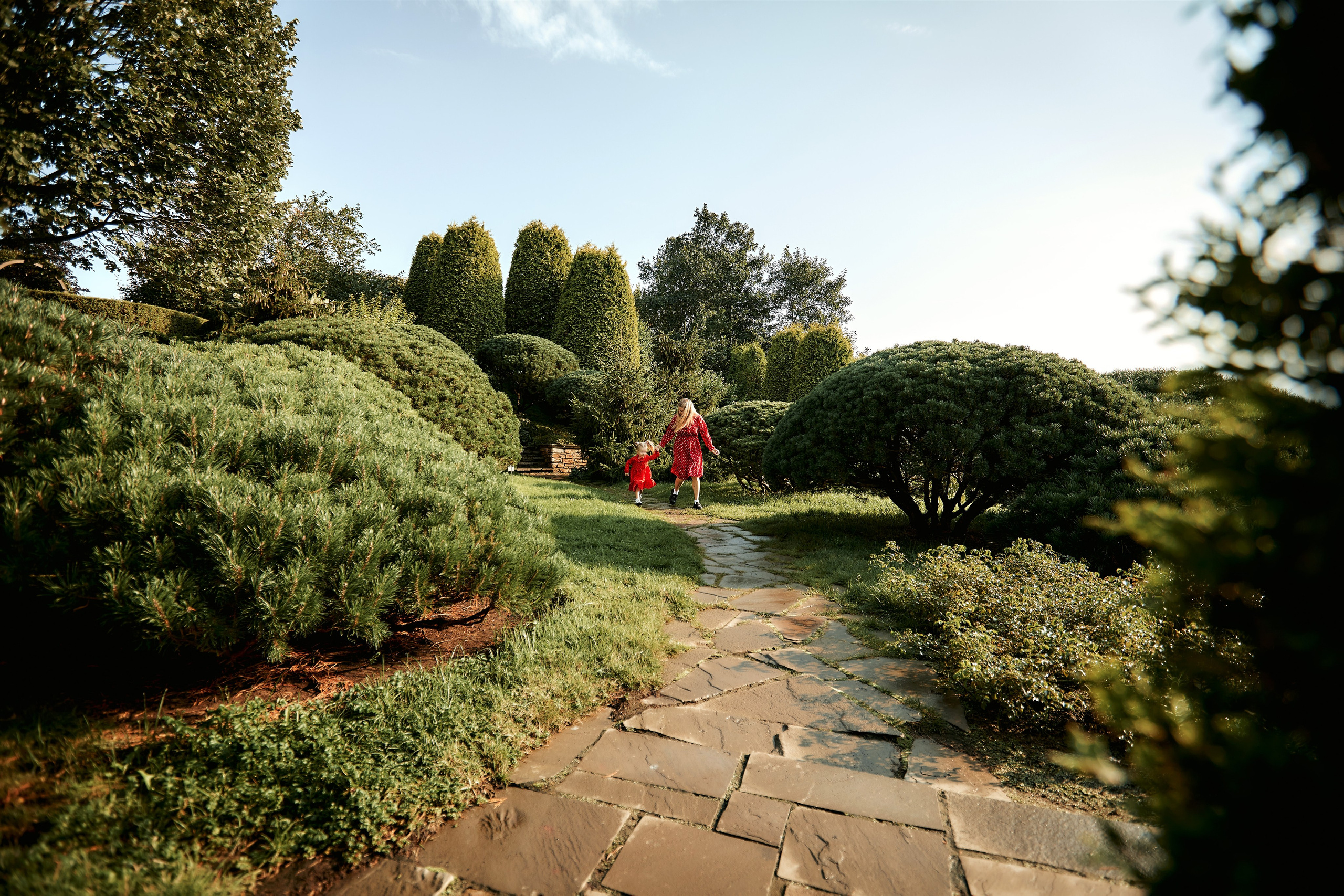 Family. Фотограф Пустошка и Псковская область (Себеж, Великие Луки, Опочка и др.)