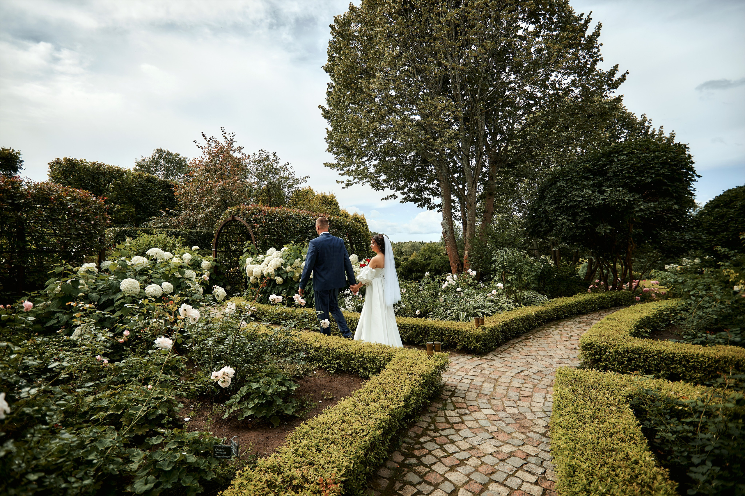 Wedding. Фотограф Пустошка и Псковская область (Себеж, Великие Луки, Опочка и др.)