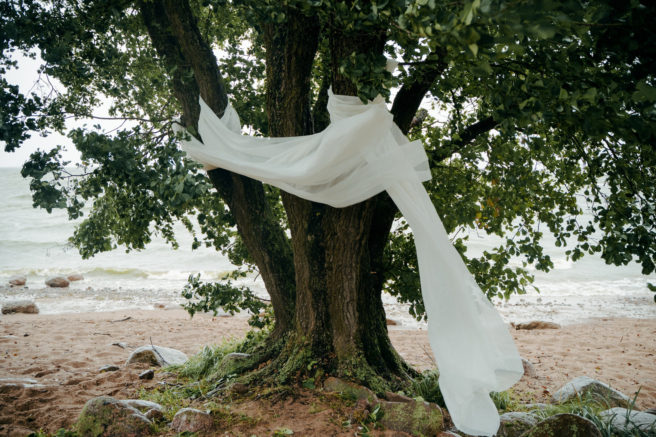 КОНТАКТЫ. Свадебный фотограф в Санкт — Петербурге