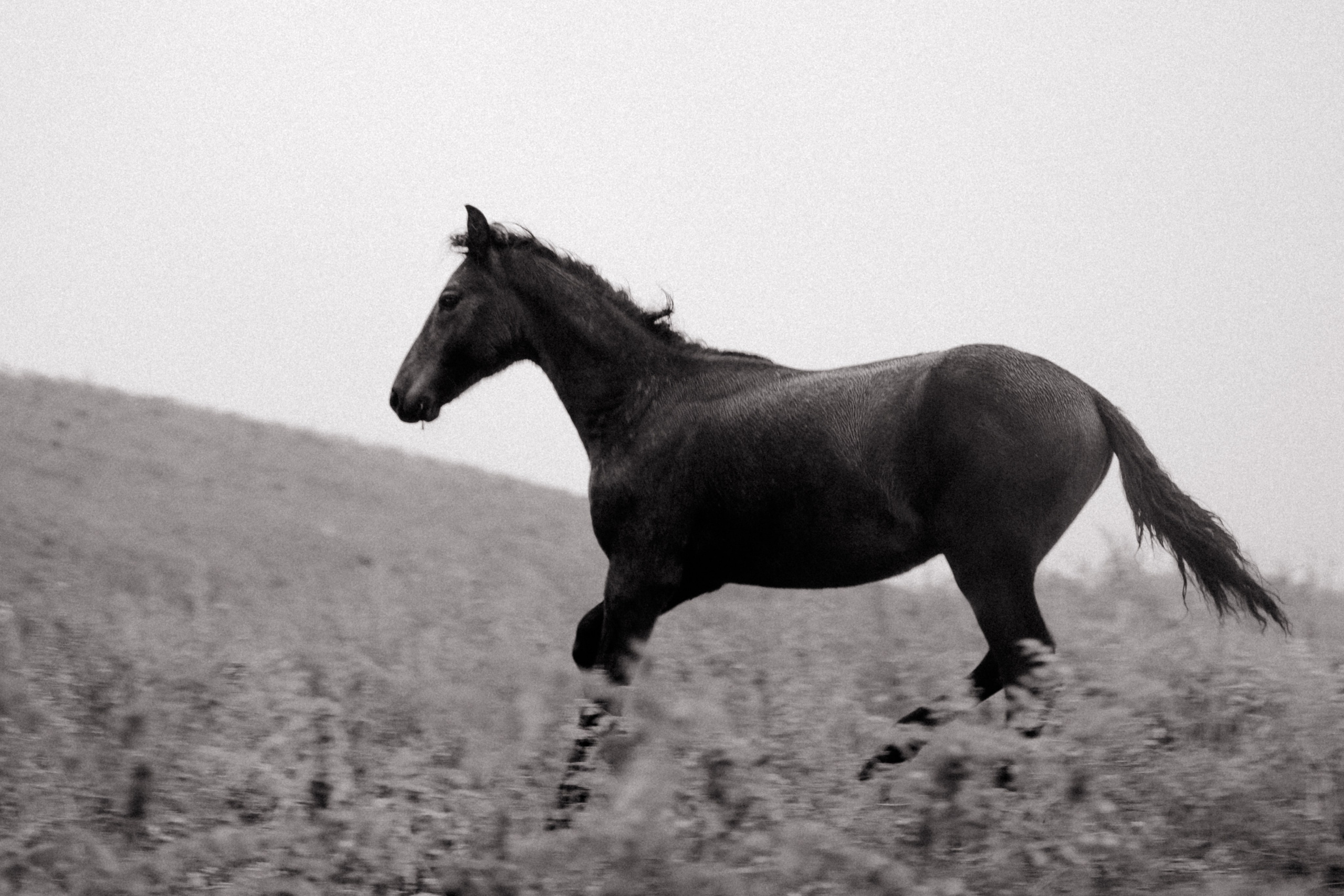 Открытки. Ostryakov Daniil Photographer