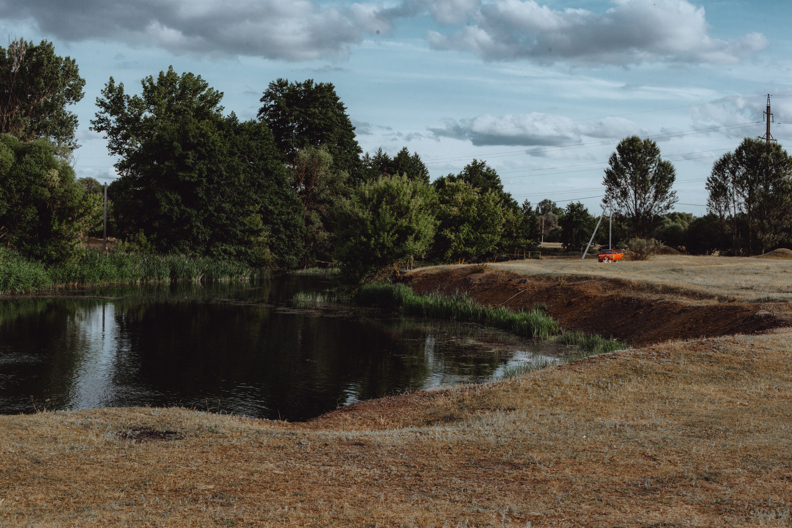 Овцы без электроандроидов. Фотограф Старый Оскол Мавлыга Мария