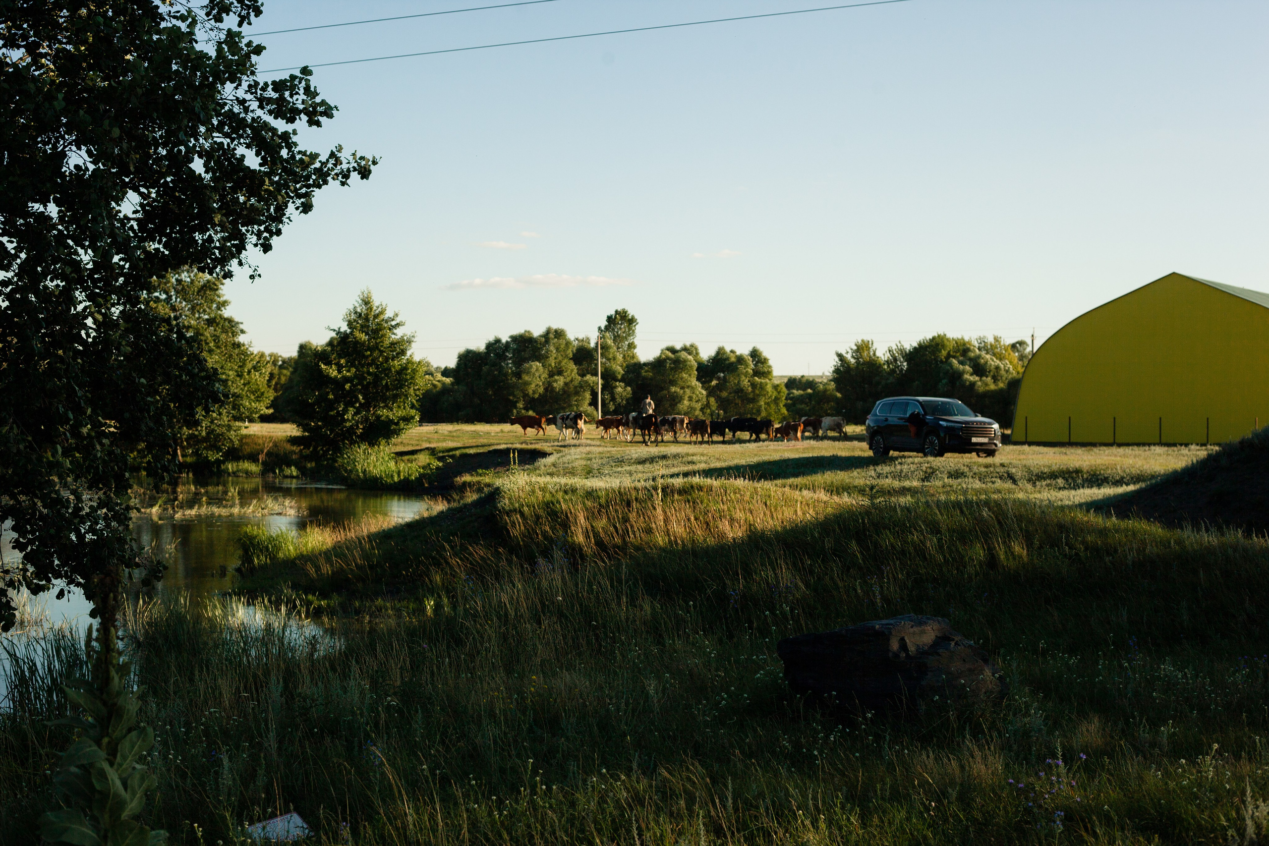 Чакра 2024. Фотограф Старый Оскол Мавлыга Мария